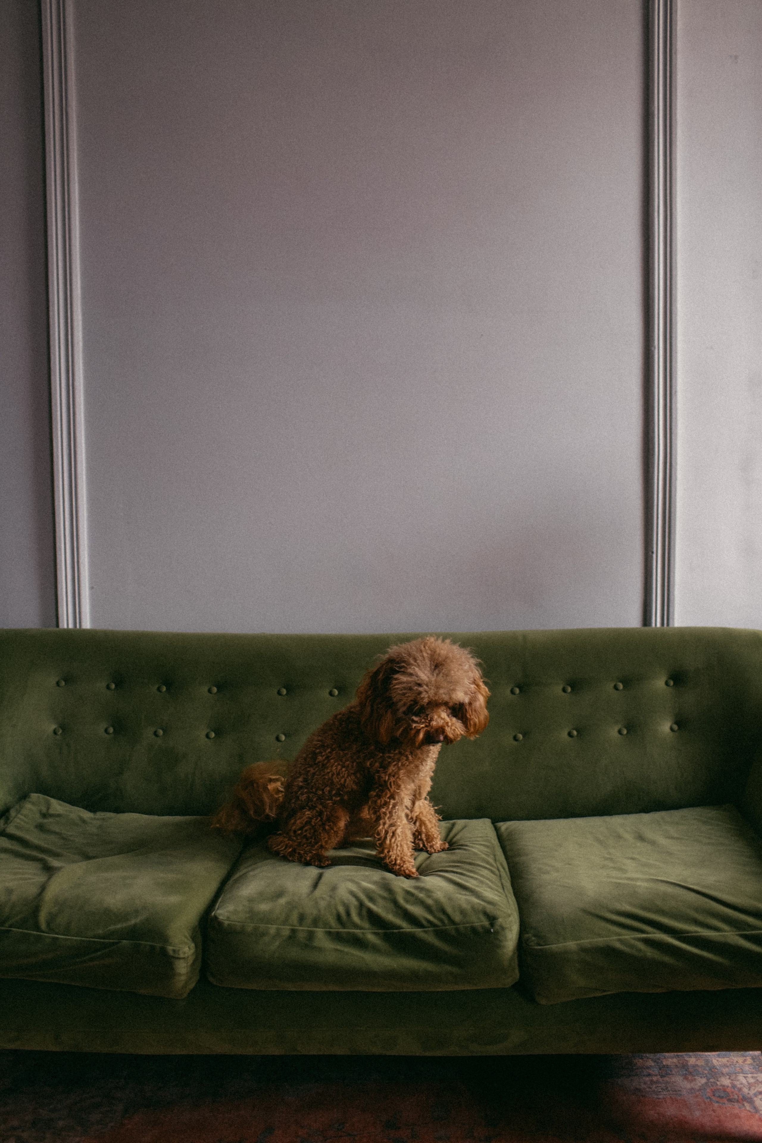 Алёна. Главная