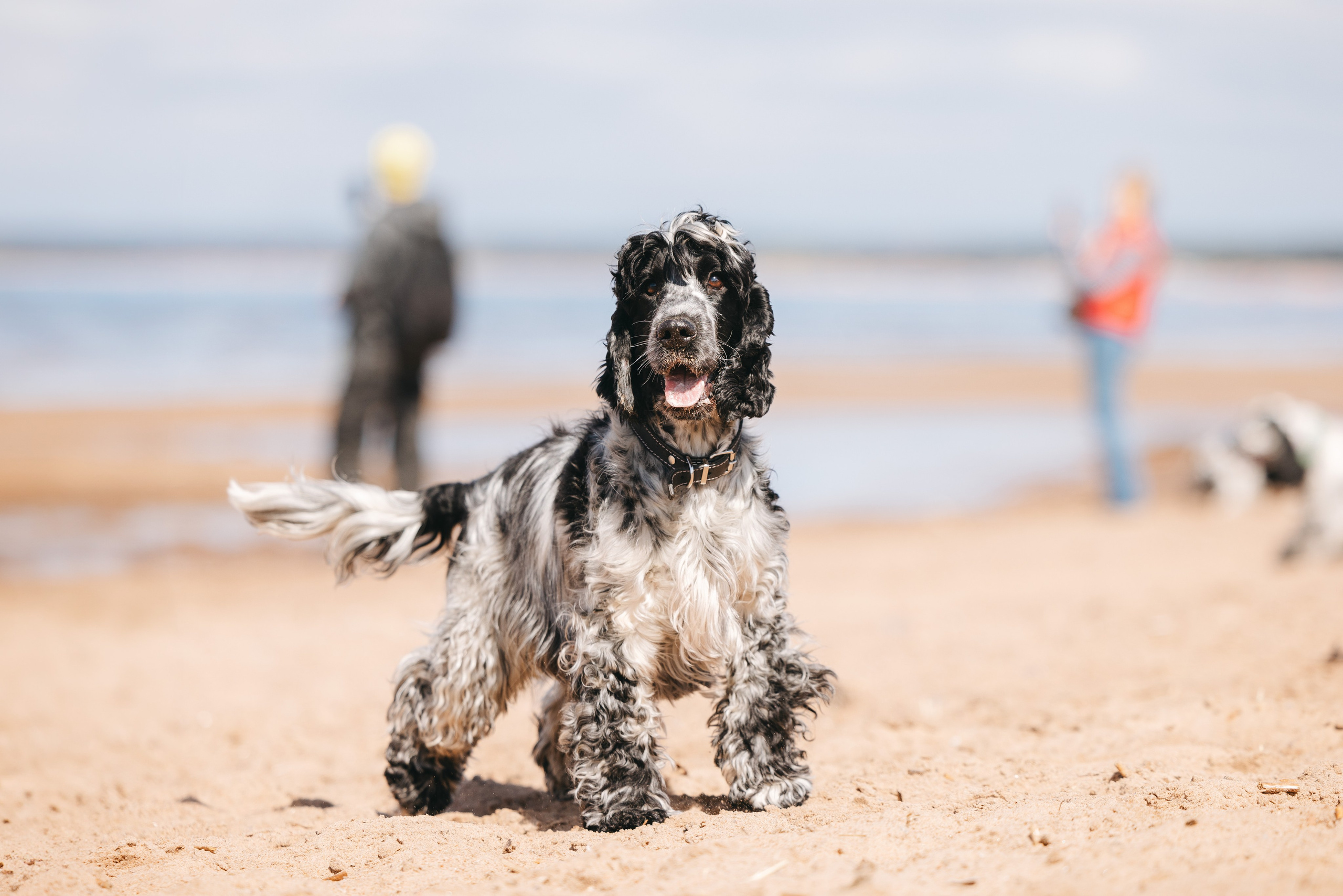 Спанимания. Фотограф анималист Осипчикова Мария