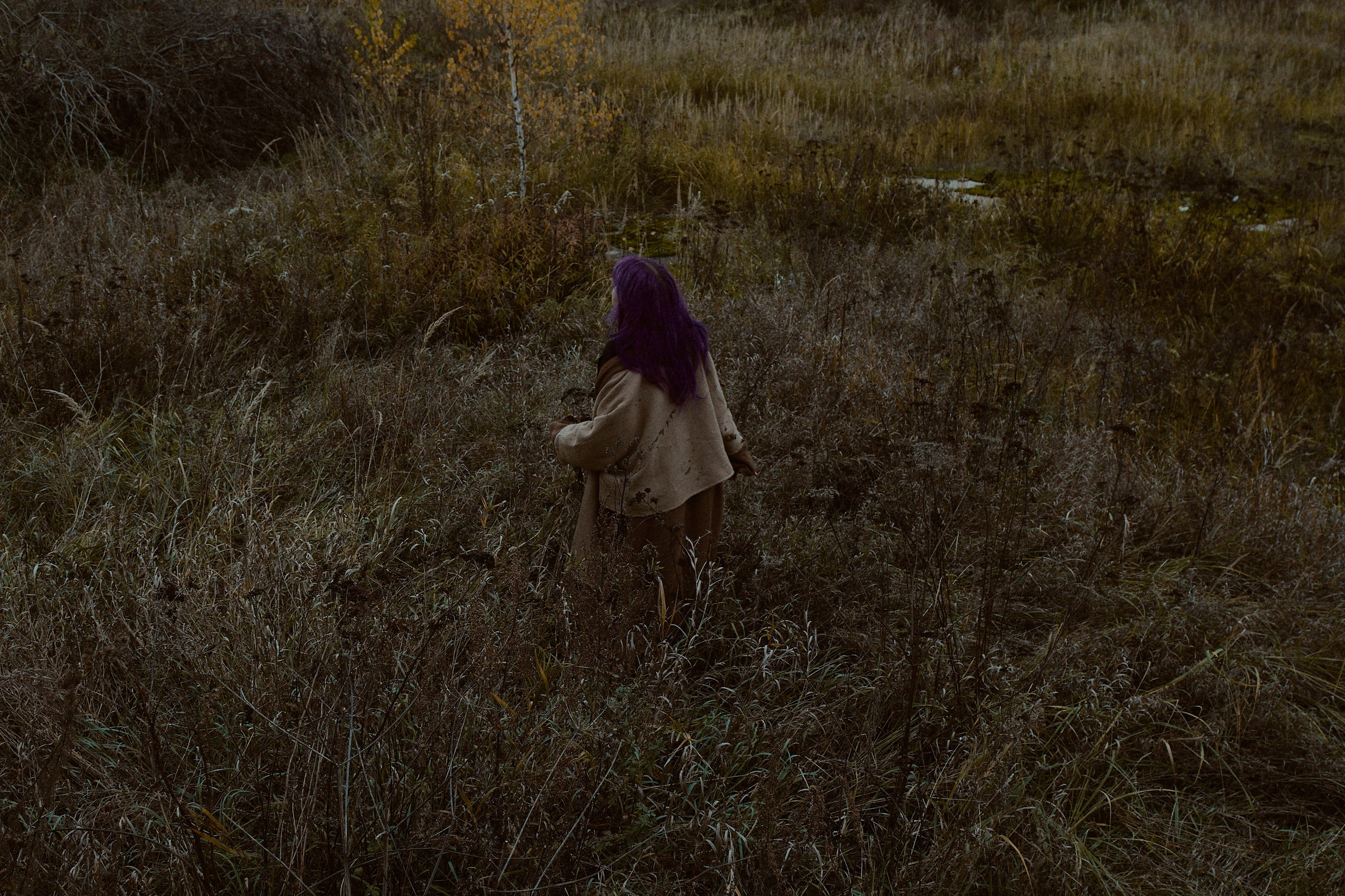 Русская сказка. Фотограф лавстори Москва/МО Приятелева Ангелина