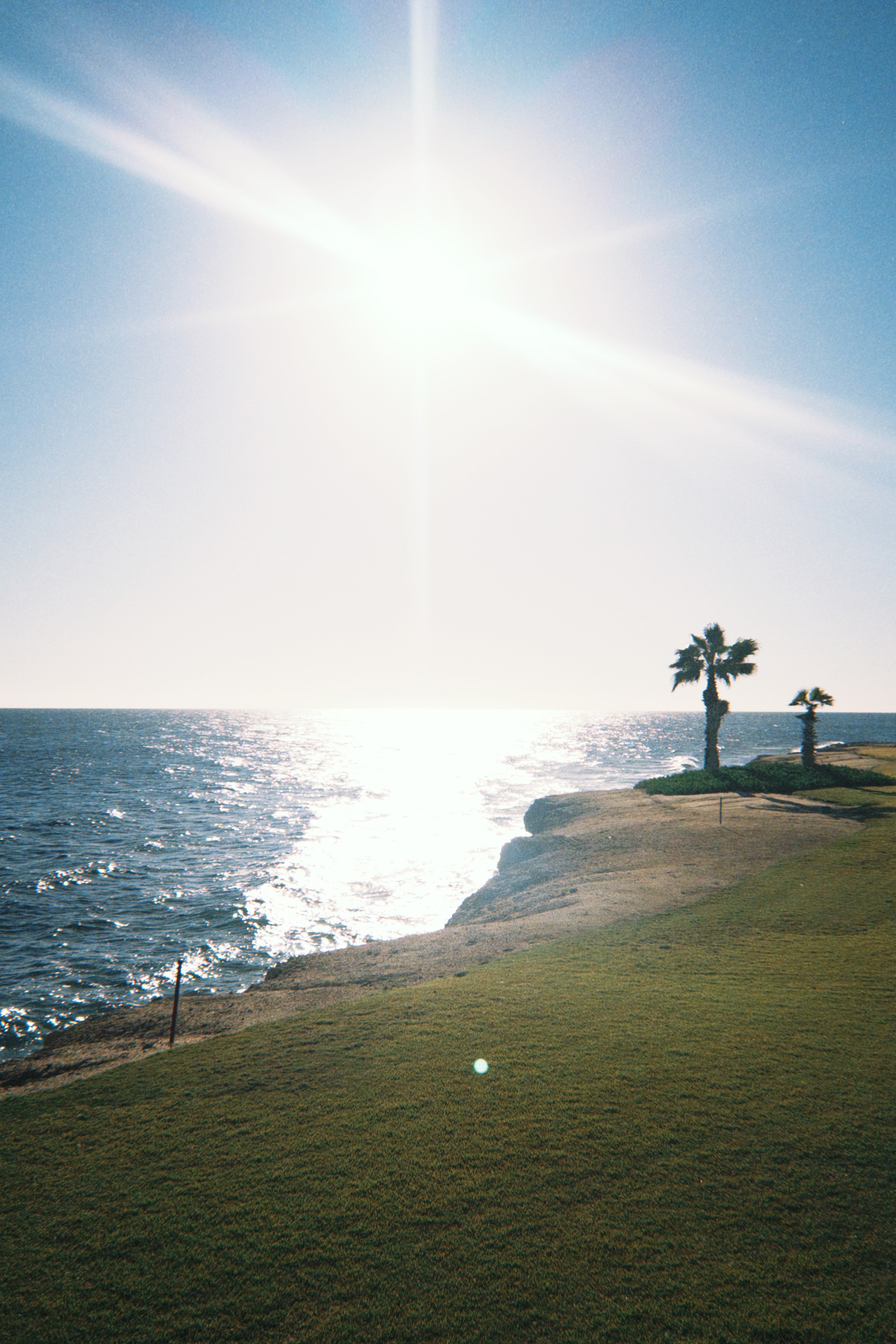 Данил колбасенко. Портфолио