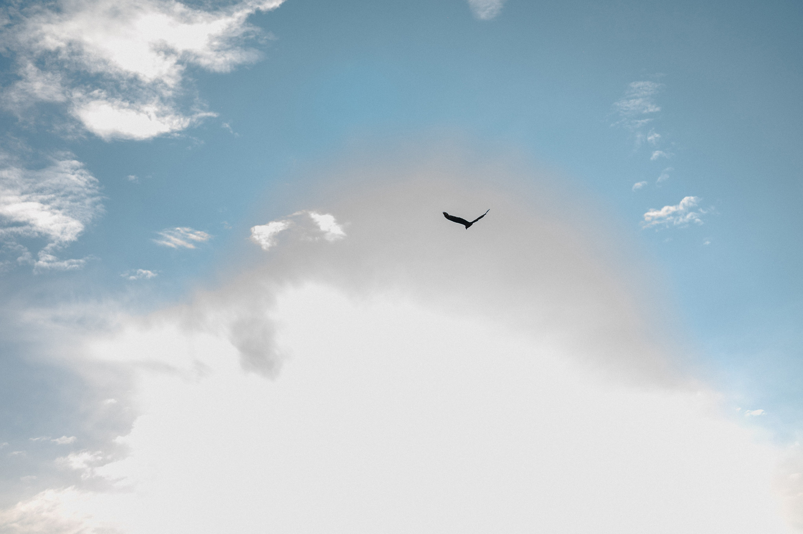 Сегодня и навсегда вместе. Свадебный и семейный фотограф в Чебоксарах Ирина Левнер