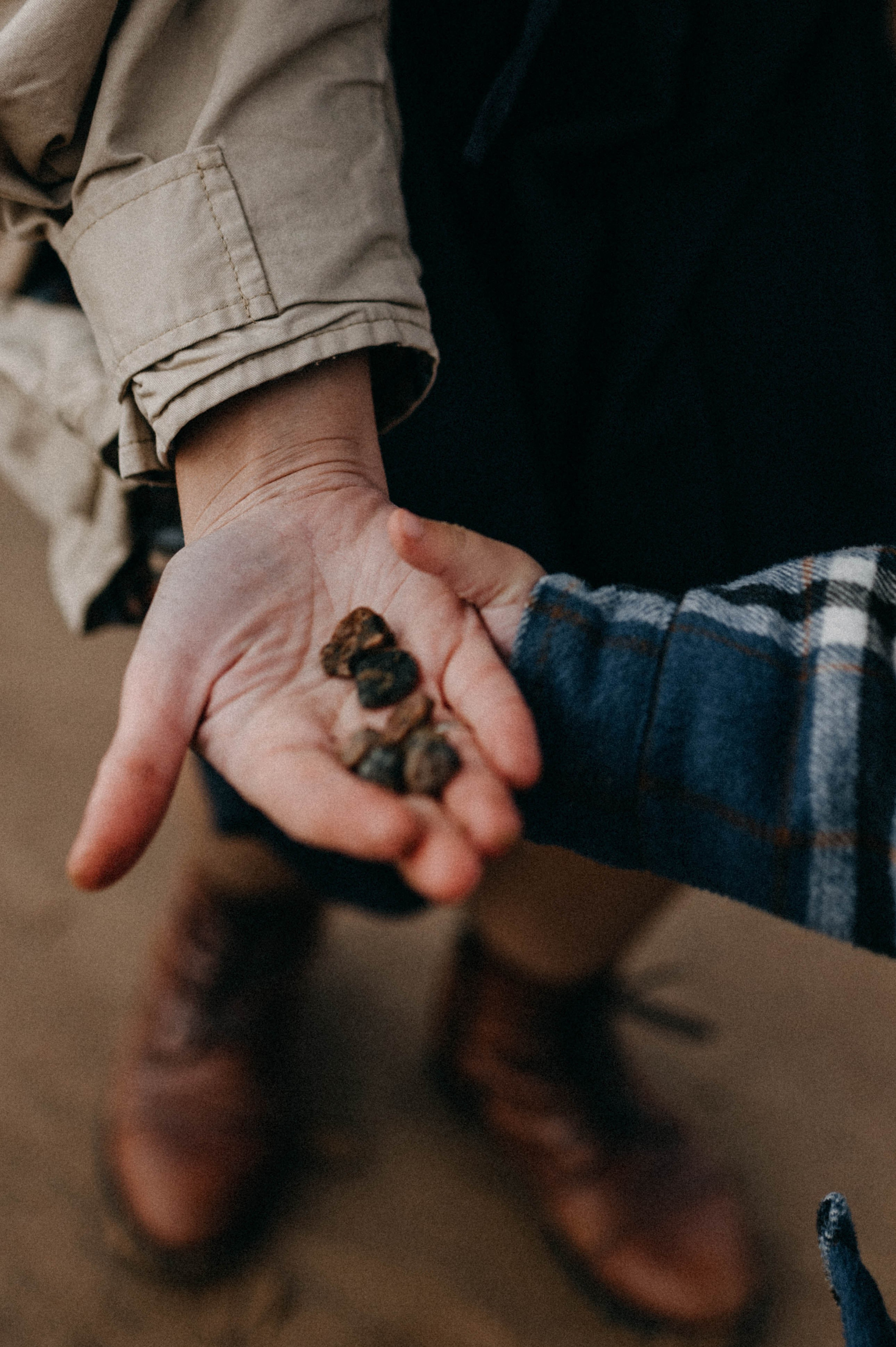 Вера и Миша. Свадебный и семейный фотограф в Чите Юлия Оранская