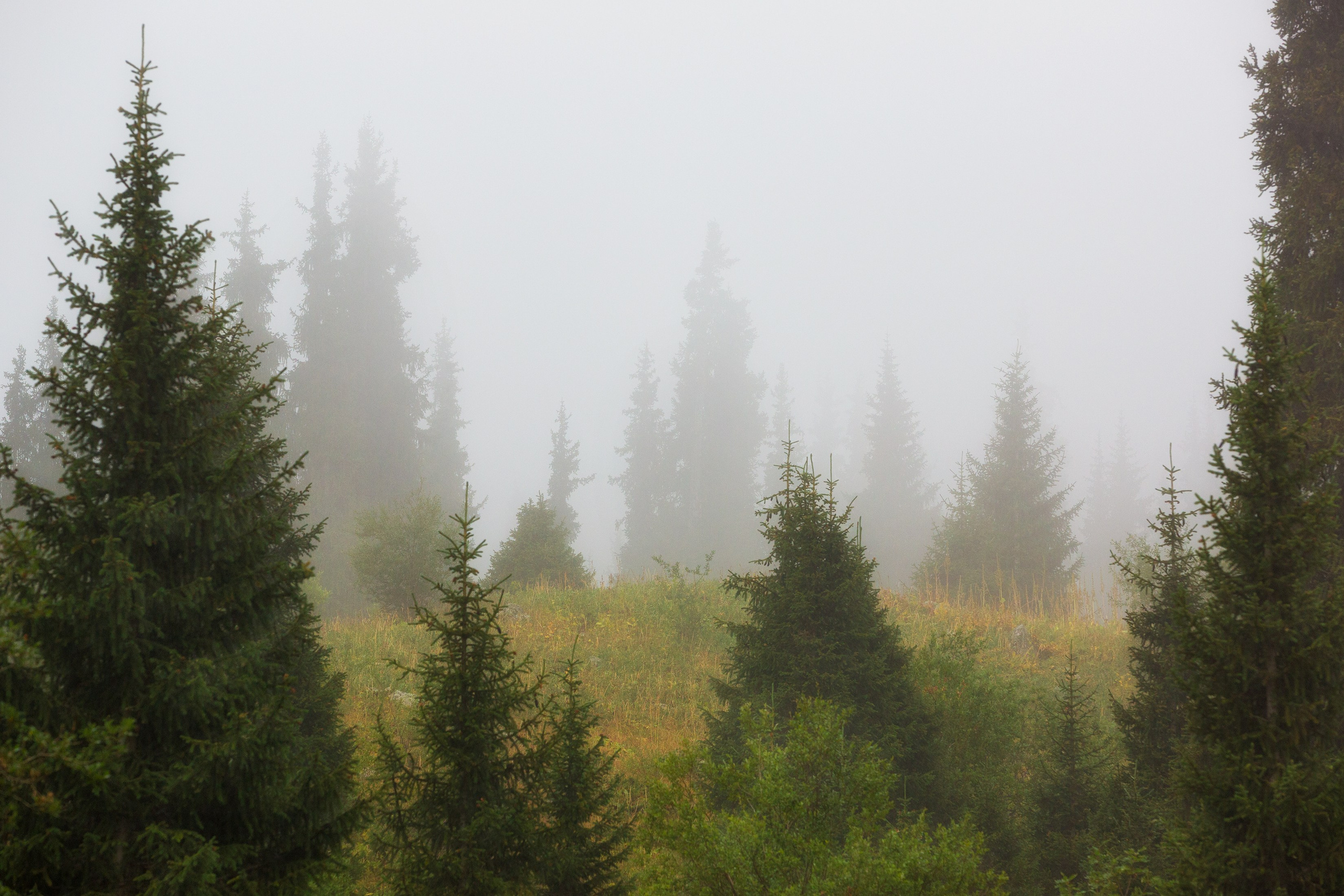 ЗАИЛИЙСКИЙ АЛАТАУ. КАЗАХСТАН. Фототуры и обучение пейзажной фотографии
