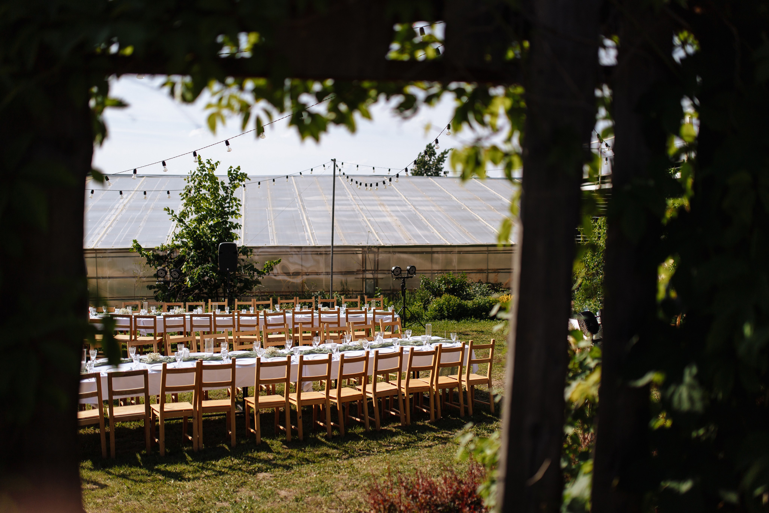 Свадебный репортаж. Свадебный и Репортажный фотограф Александр Шаров