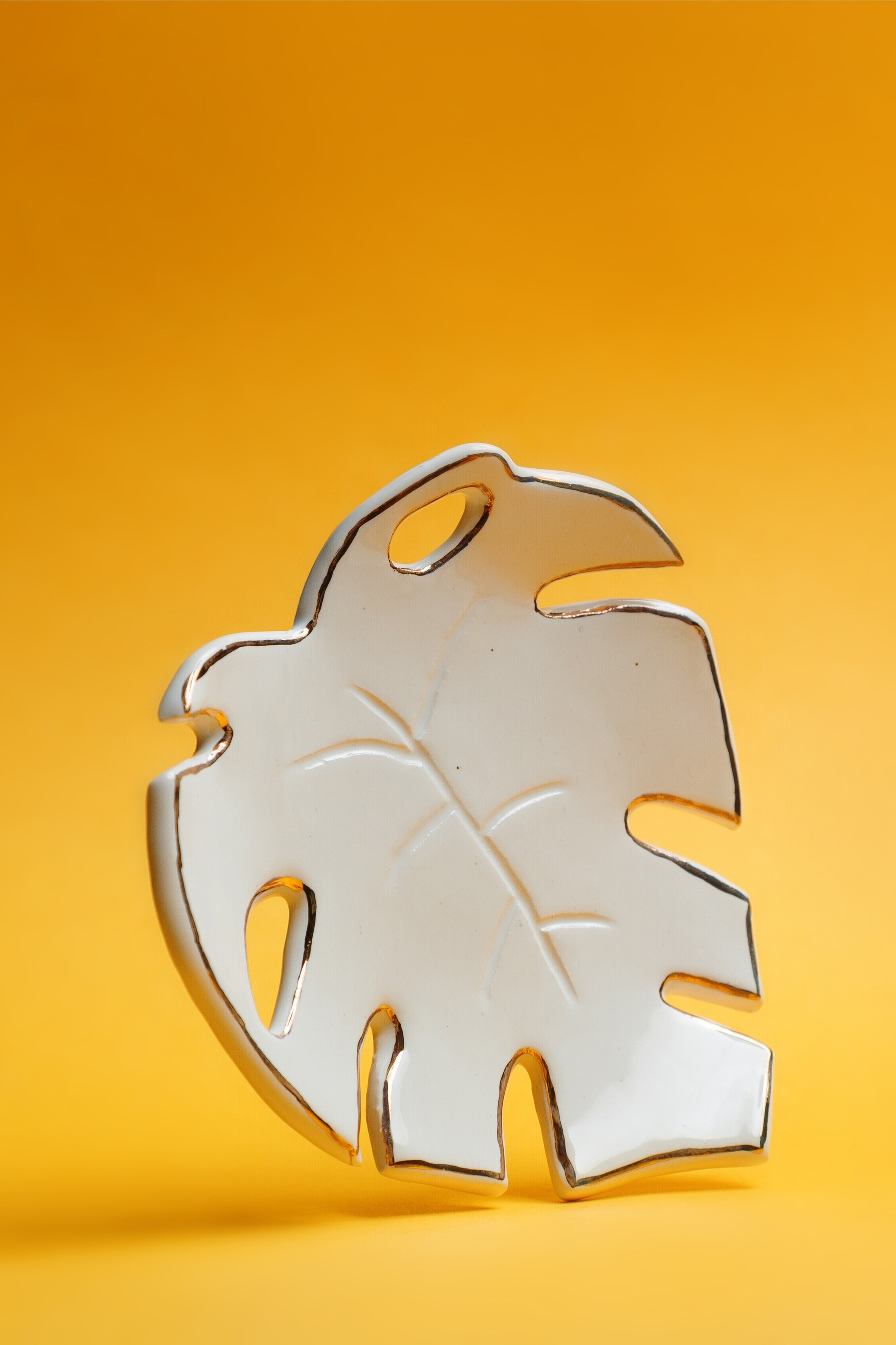 Портфолио Предметы