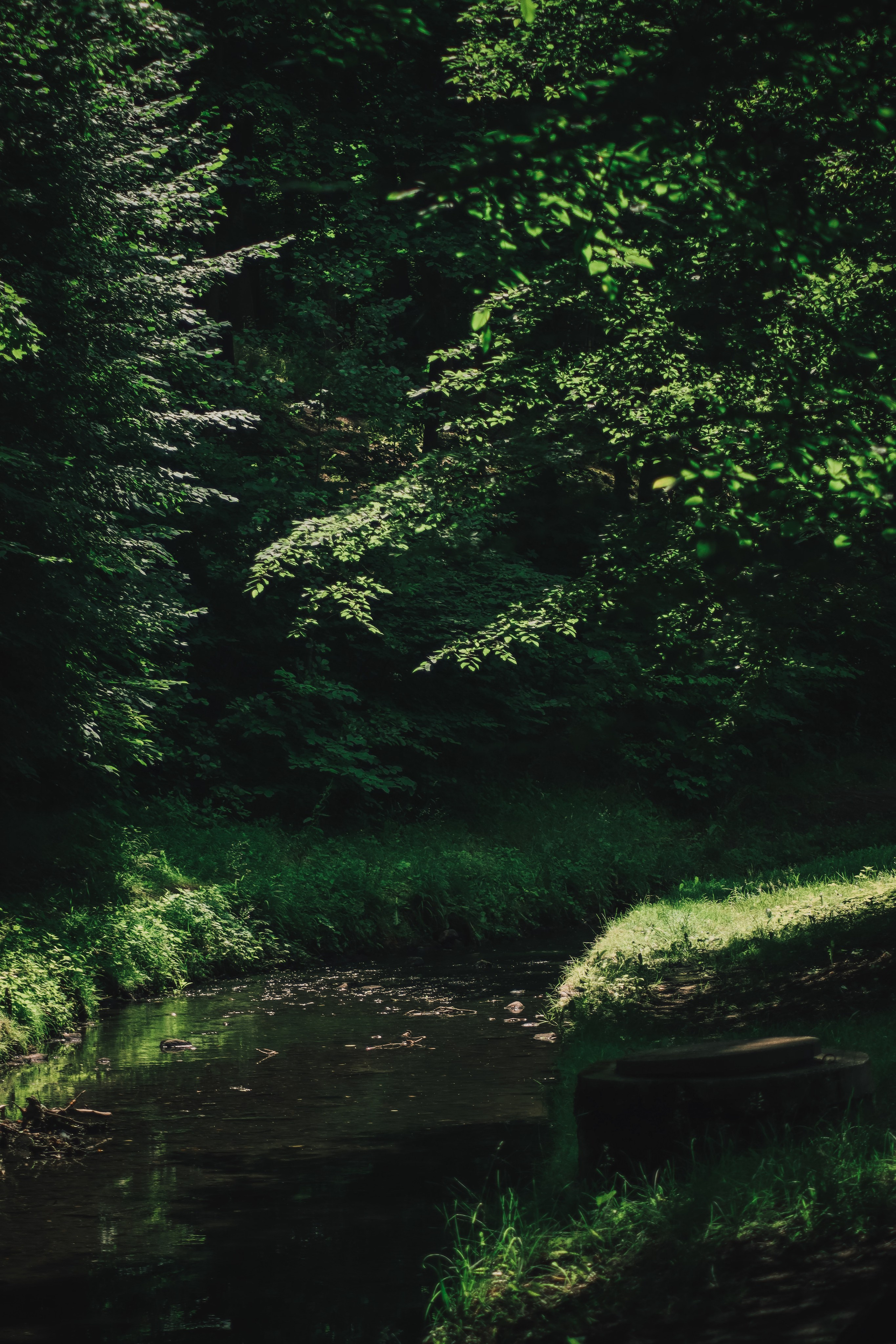 Т Е П Л Ы Й — З Е Л Е Н Ы Й. — Digital Noise —