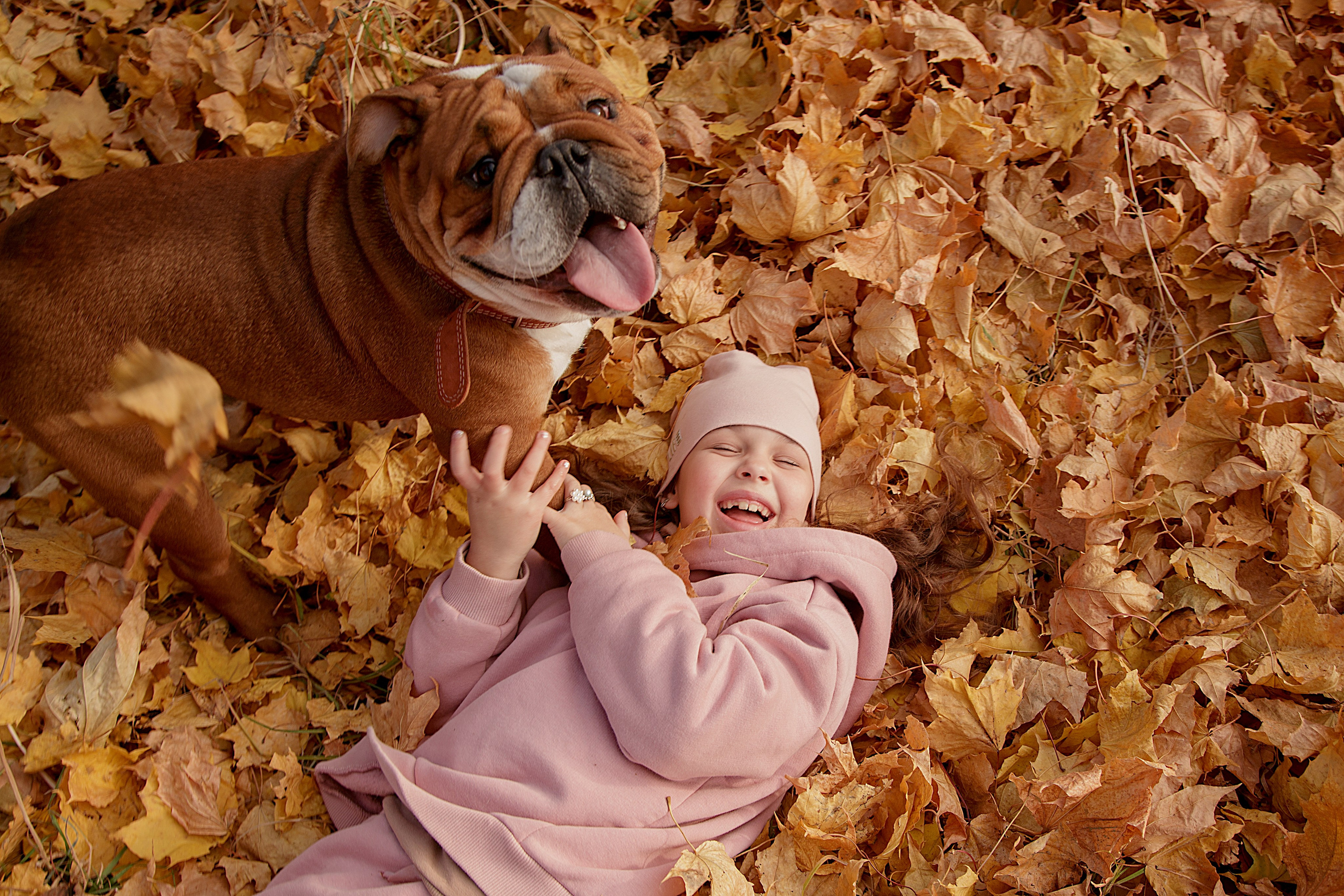 Семьи, беременность. Фотограф Ирина Зверева