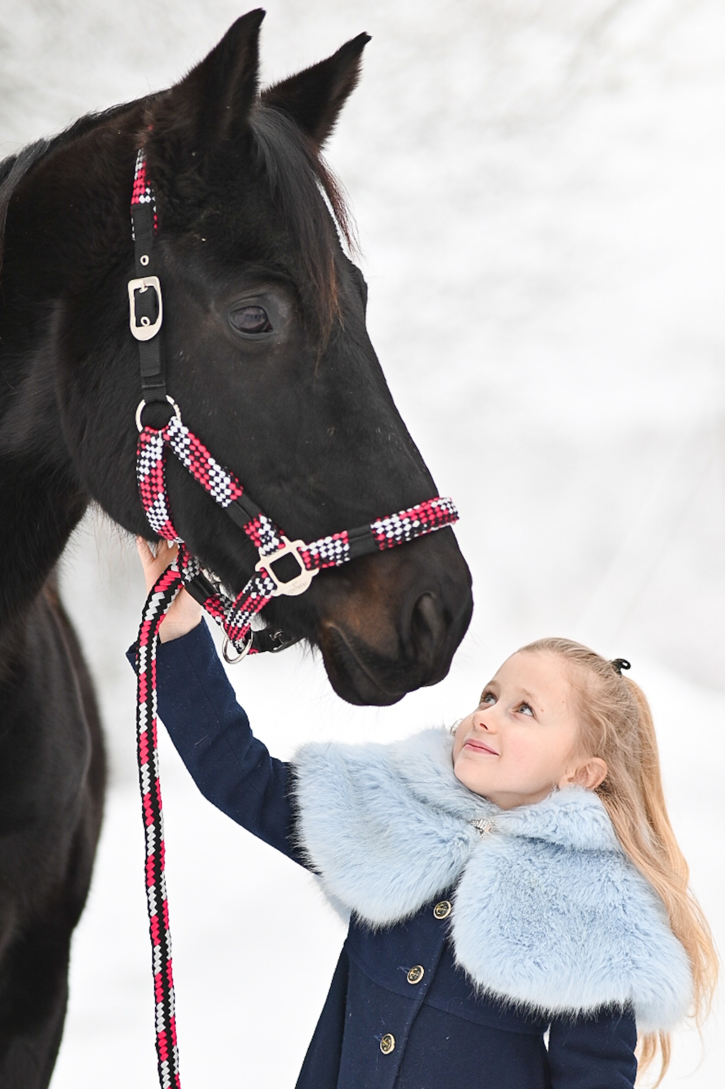 King. LifeStyle фотограф Анна Воробьёва Санкт-Петербург