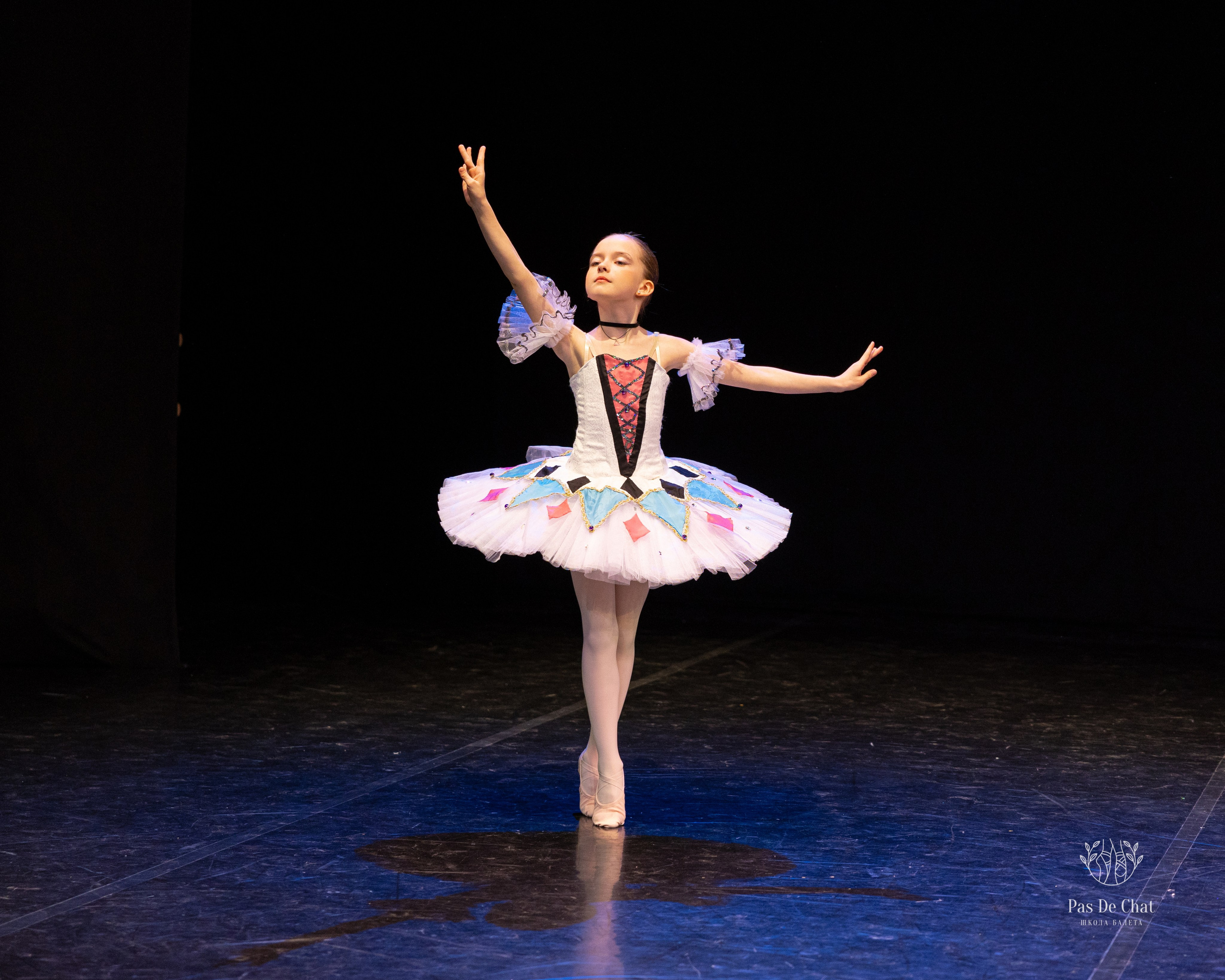 Репортажная съёмка концертов, открытых уроков, балетов. Балетный фотограф Алина Ханько — Душа Балета