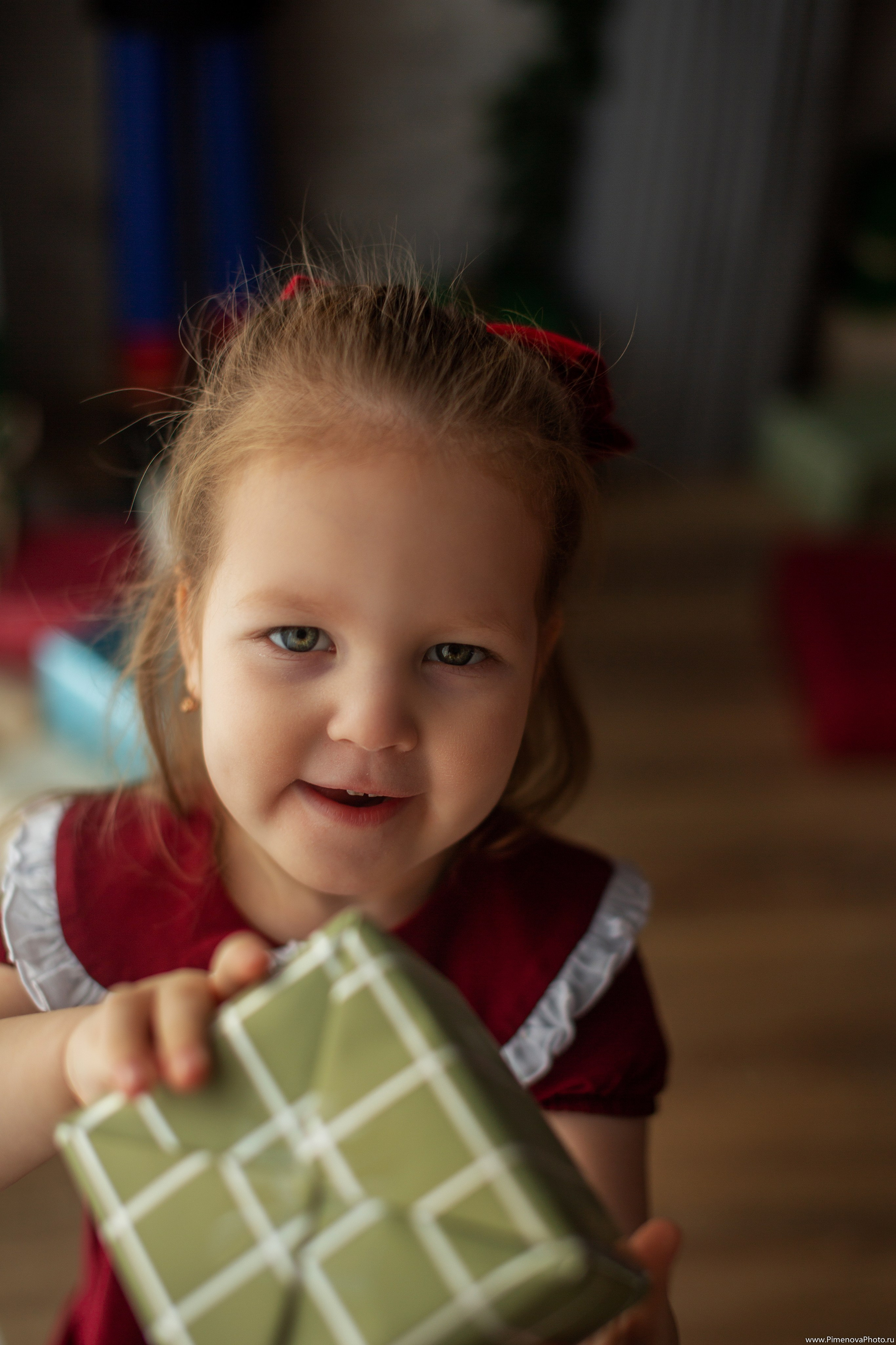 Новогодняя сказка Есении, 2024. Семейный и детский фотограф в Петрозаводске