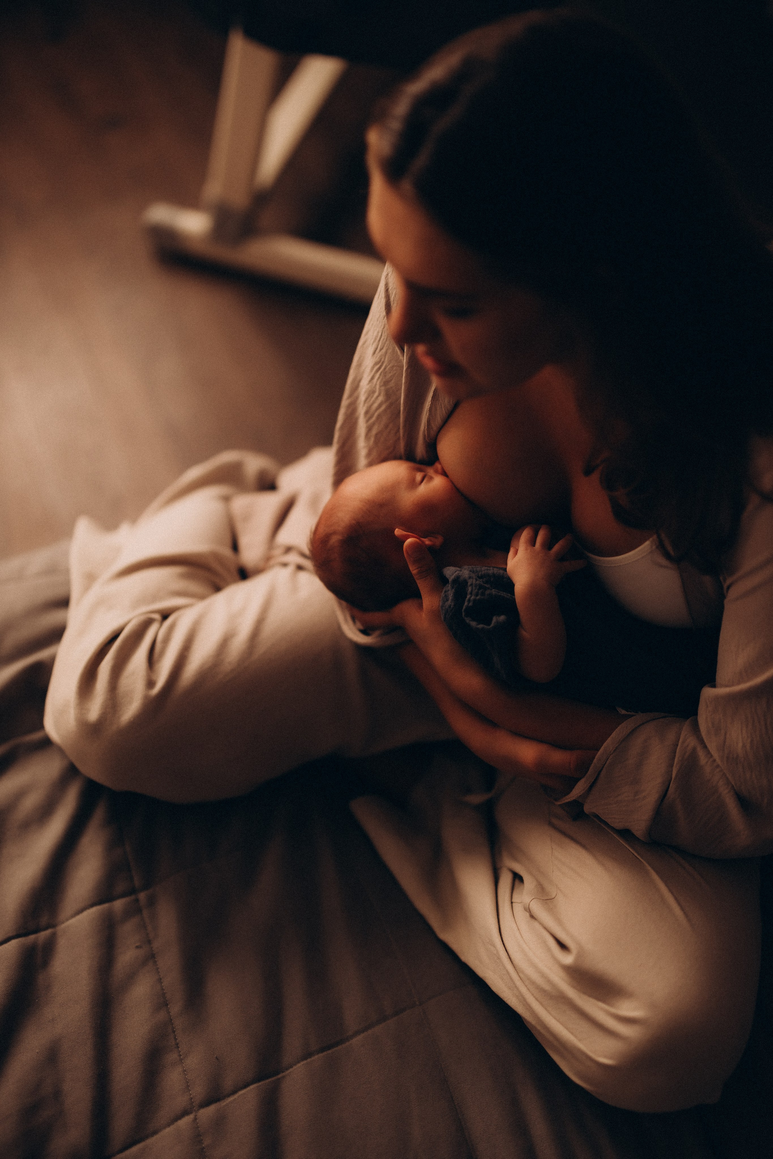 Платон. Евгения Пелипас