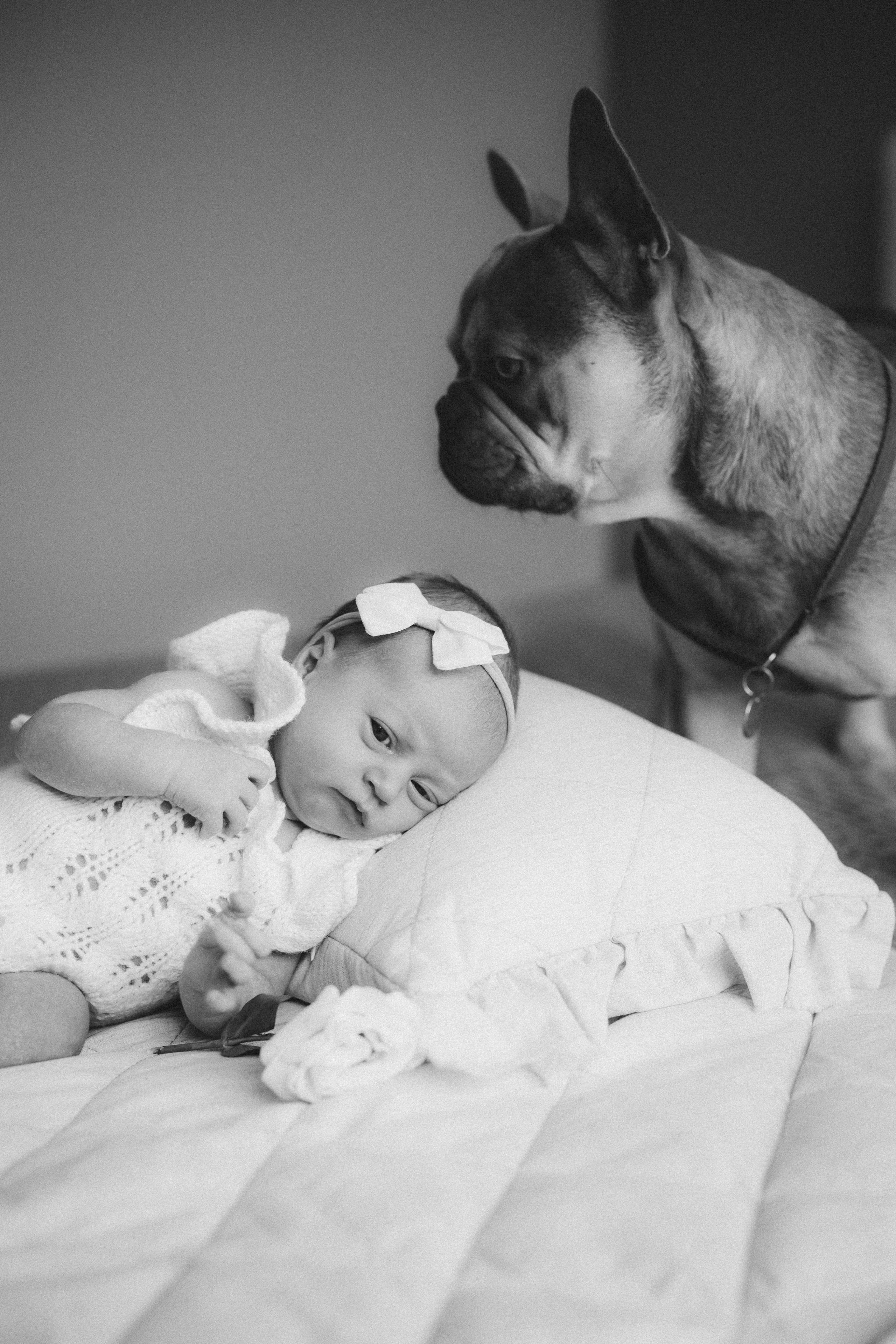 Александра 2 недели. Евгения Пелипас