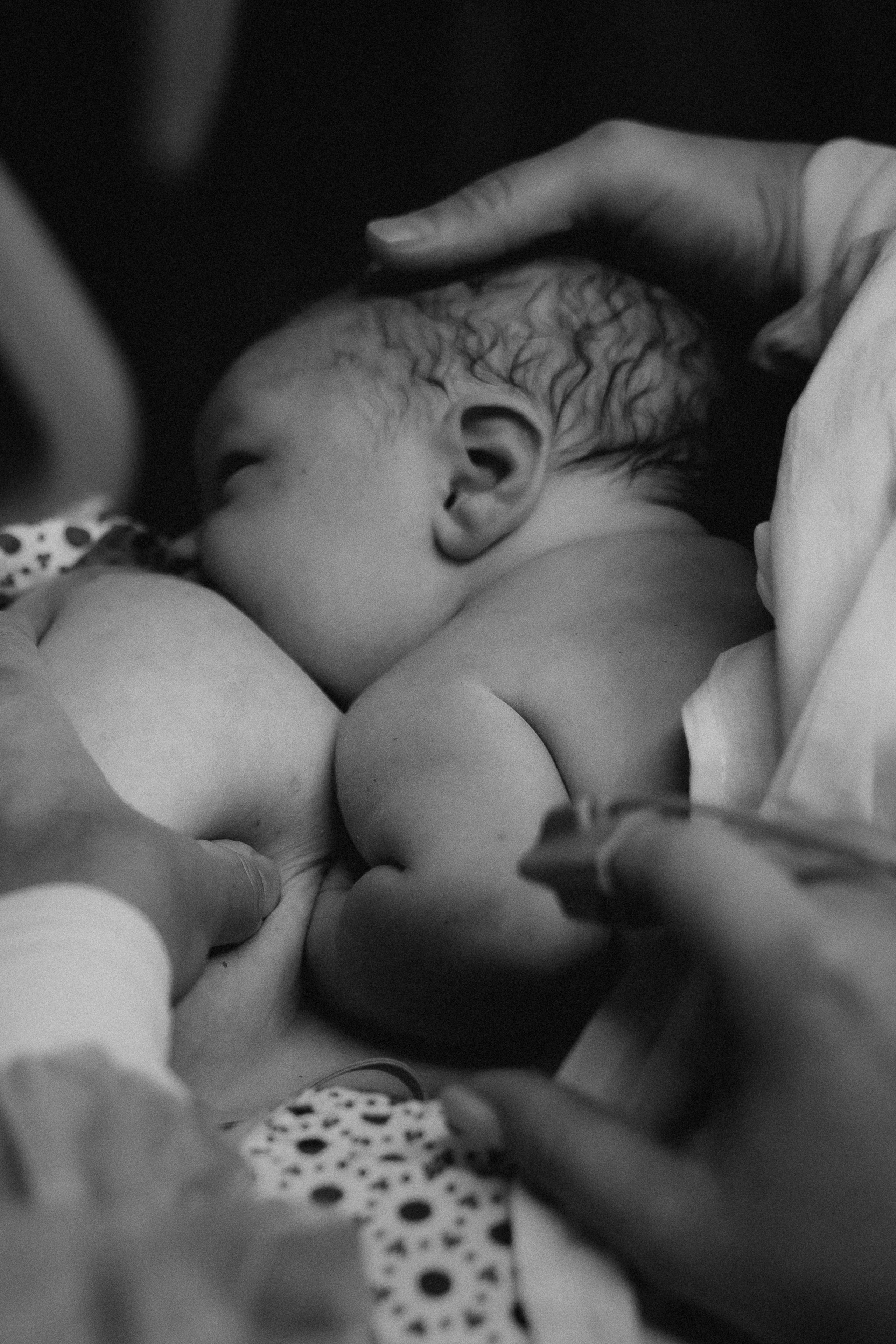 Рождение Павла. Евгения Пелипас