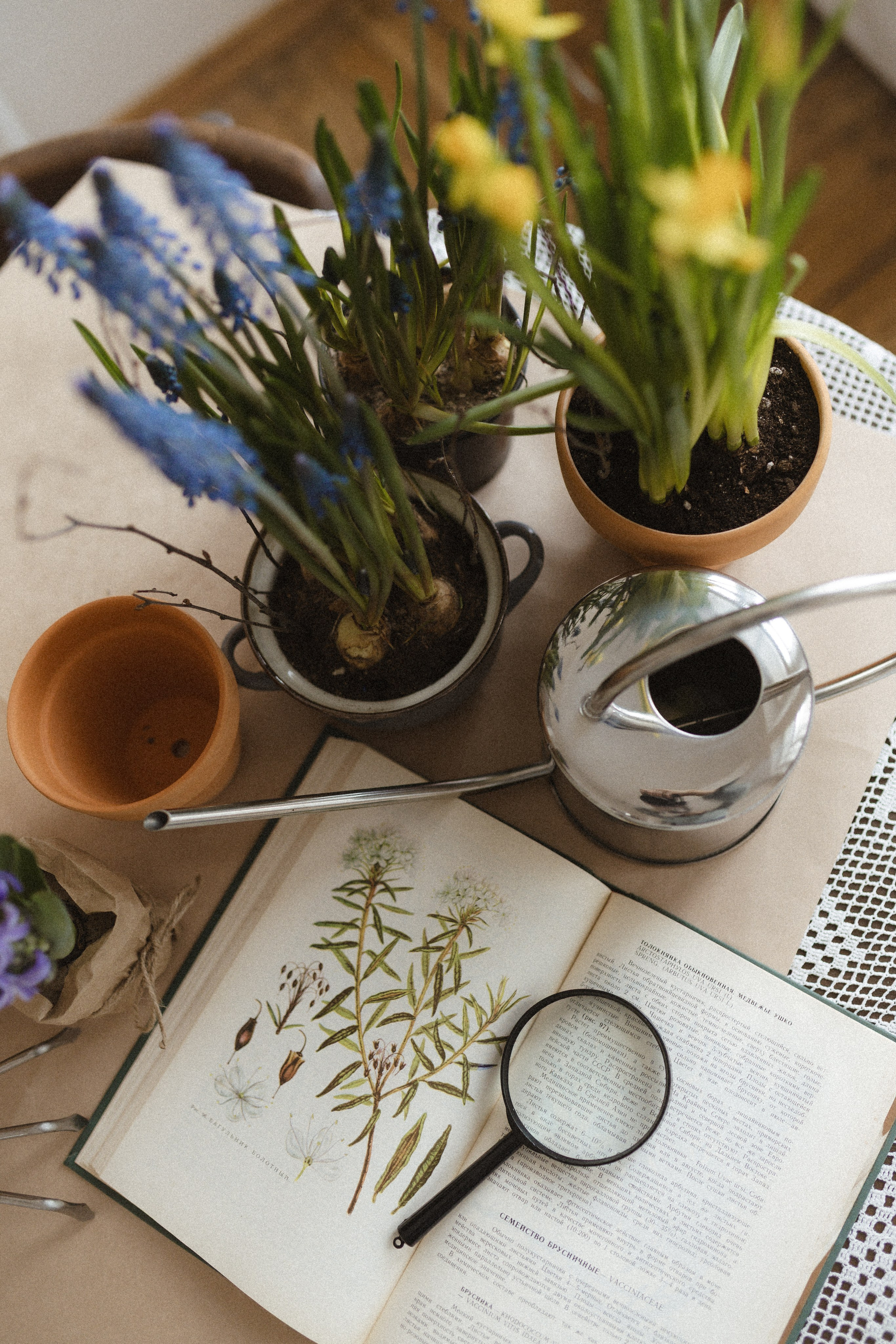 Девочки в цветах. Семейный фотограф в Москве Алина Савченко