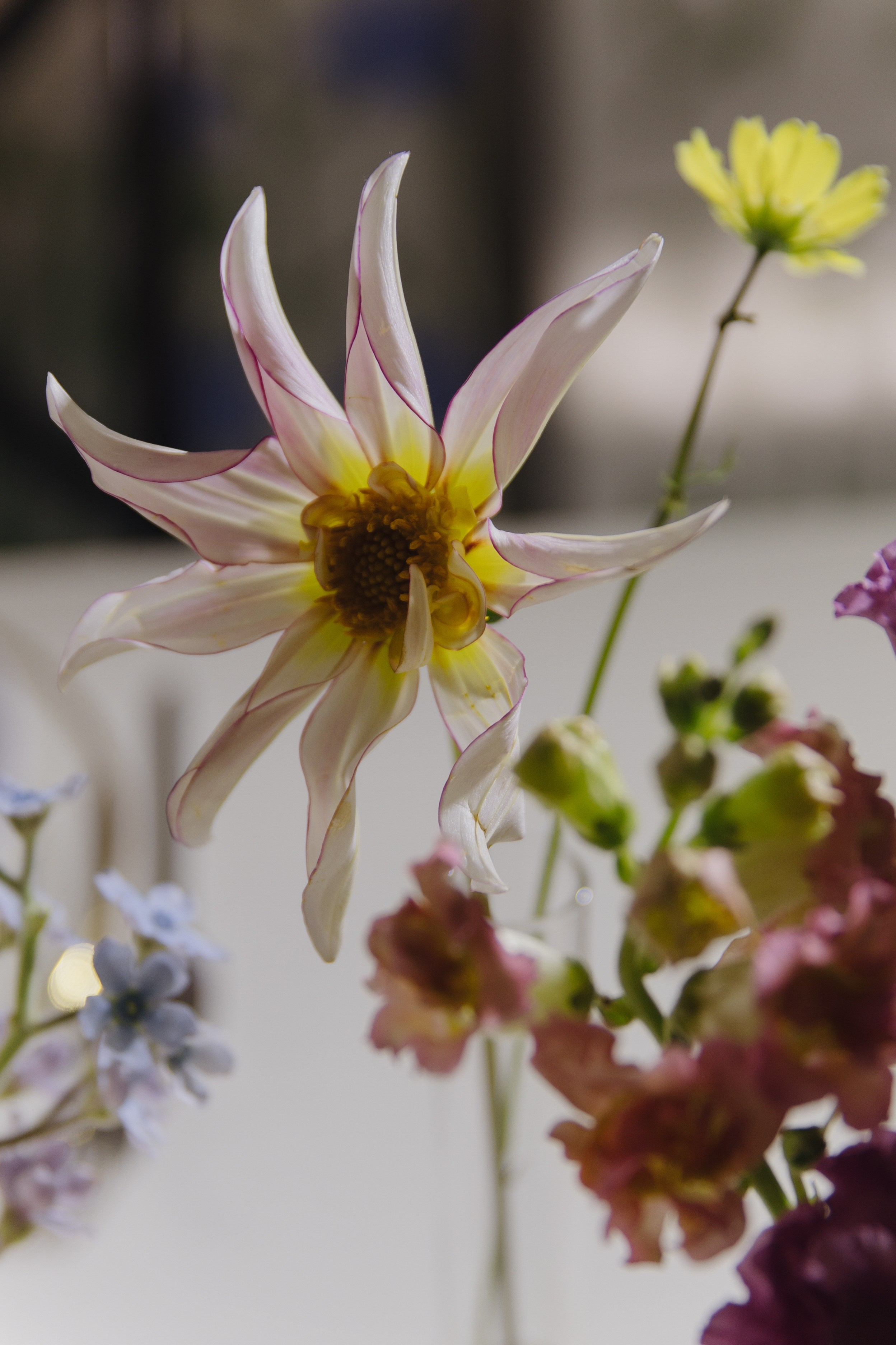 Даниил & Маргарита. Фотограф в Нижнем Новгороде| Шоронова Снежана