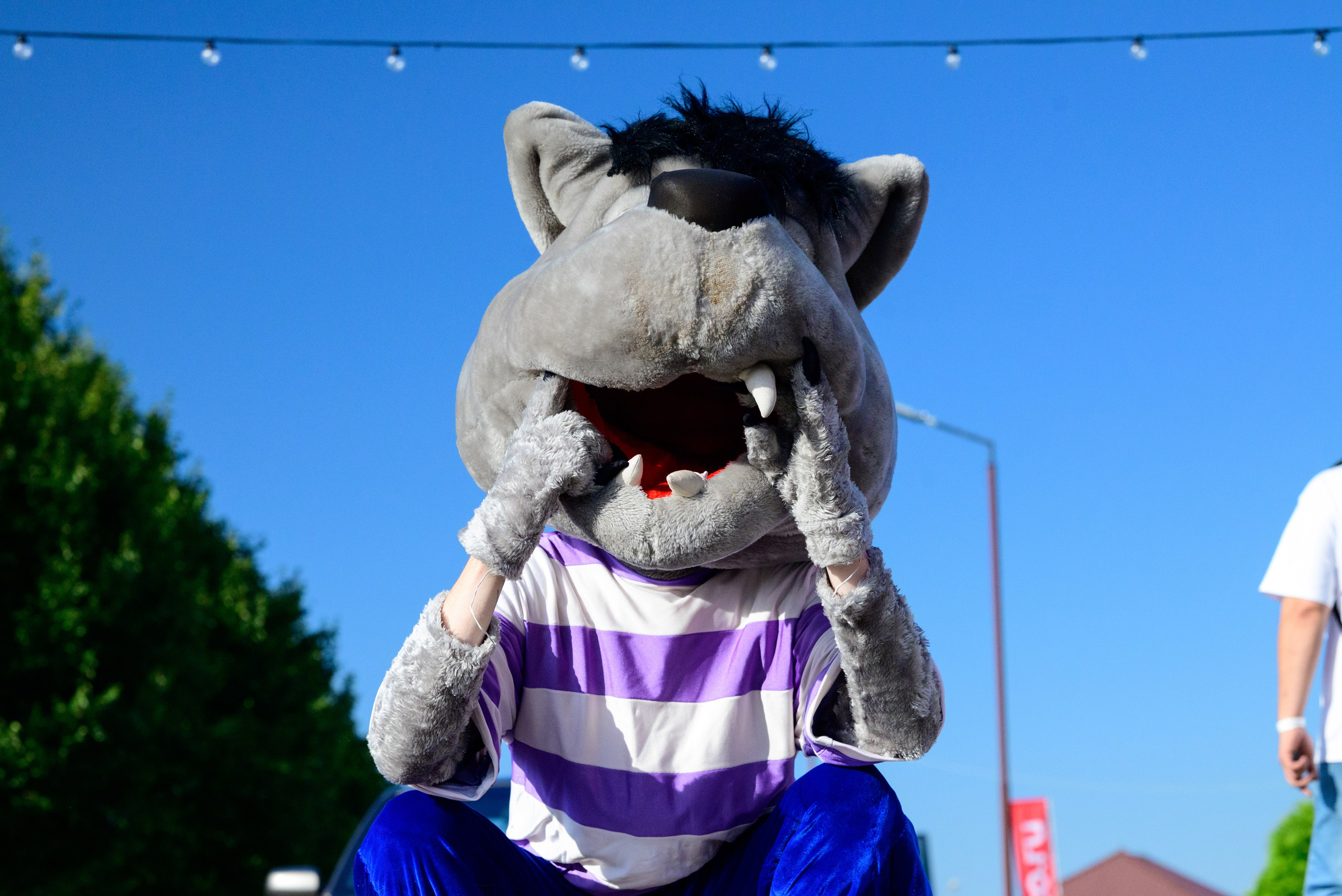 WHYNOT'25. Автомобильный фотограф Александра Рузиева aka Ju1cyFlex