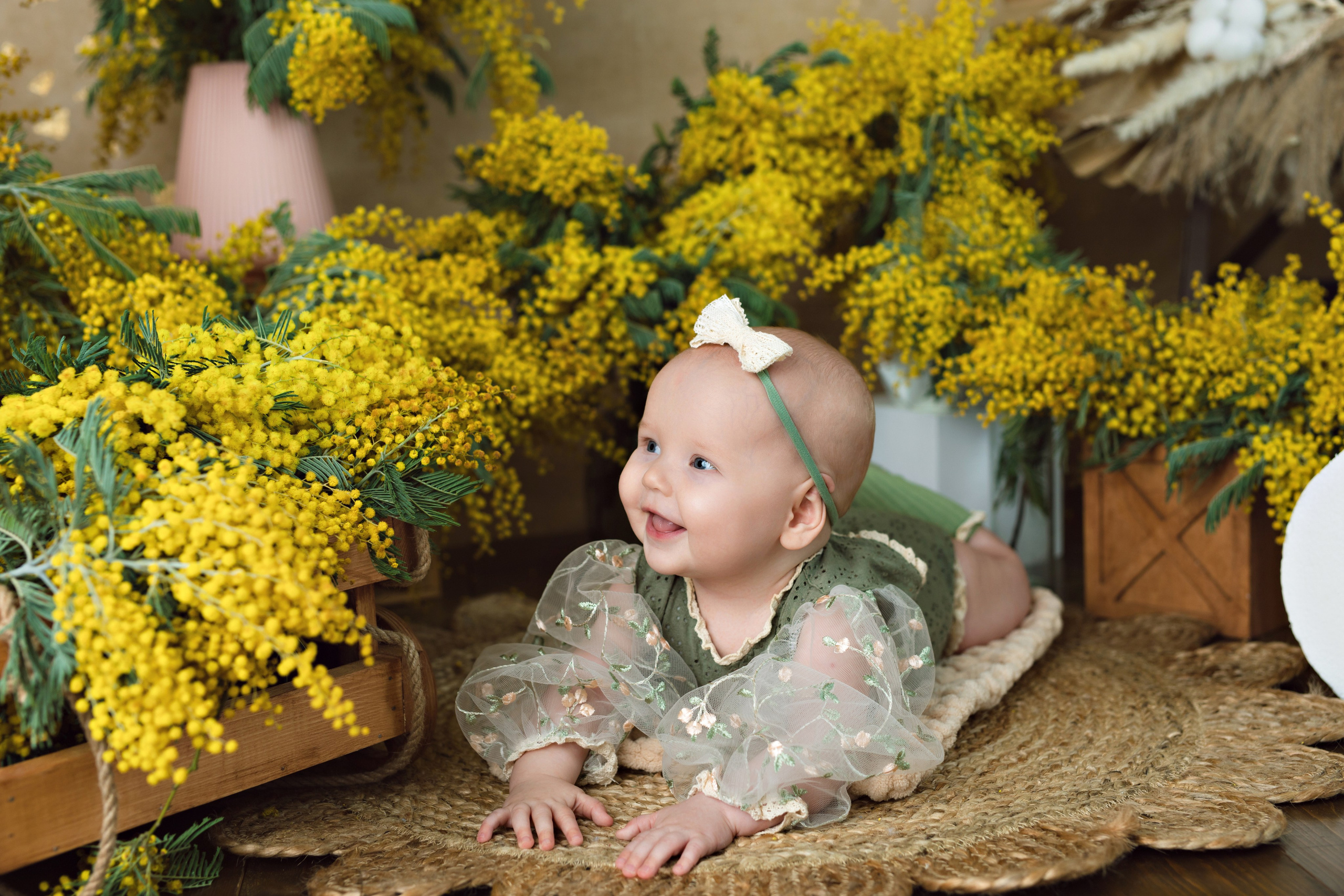 Мимозы. Фотограф Болотова Иветта