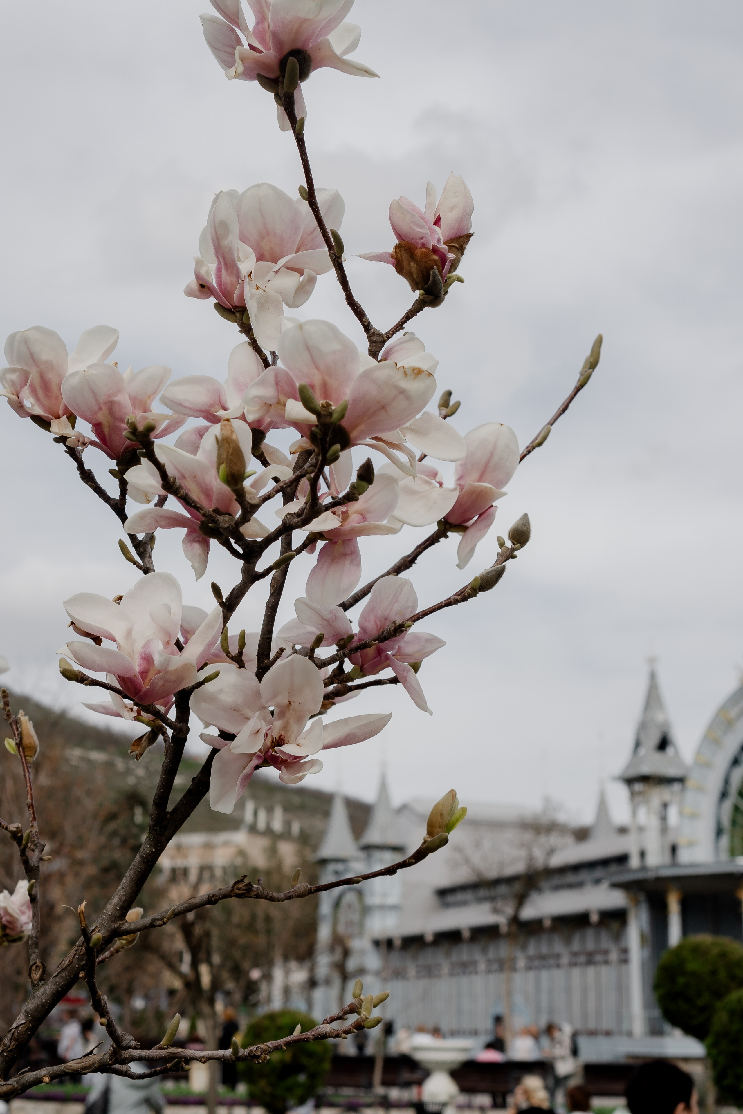 ПЯТИГОРСК. Профессиональный фотограф, Санкт-Петербург — Виктория Богомолова