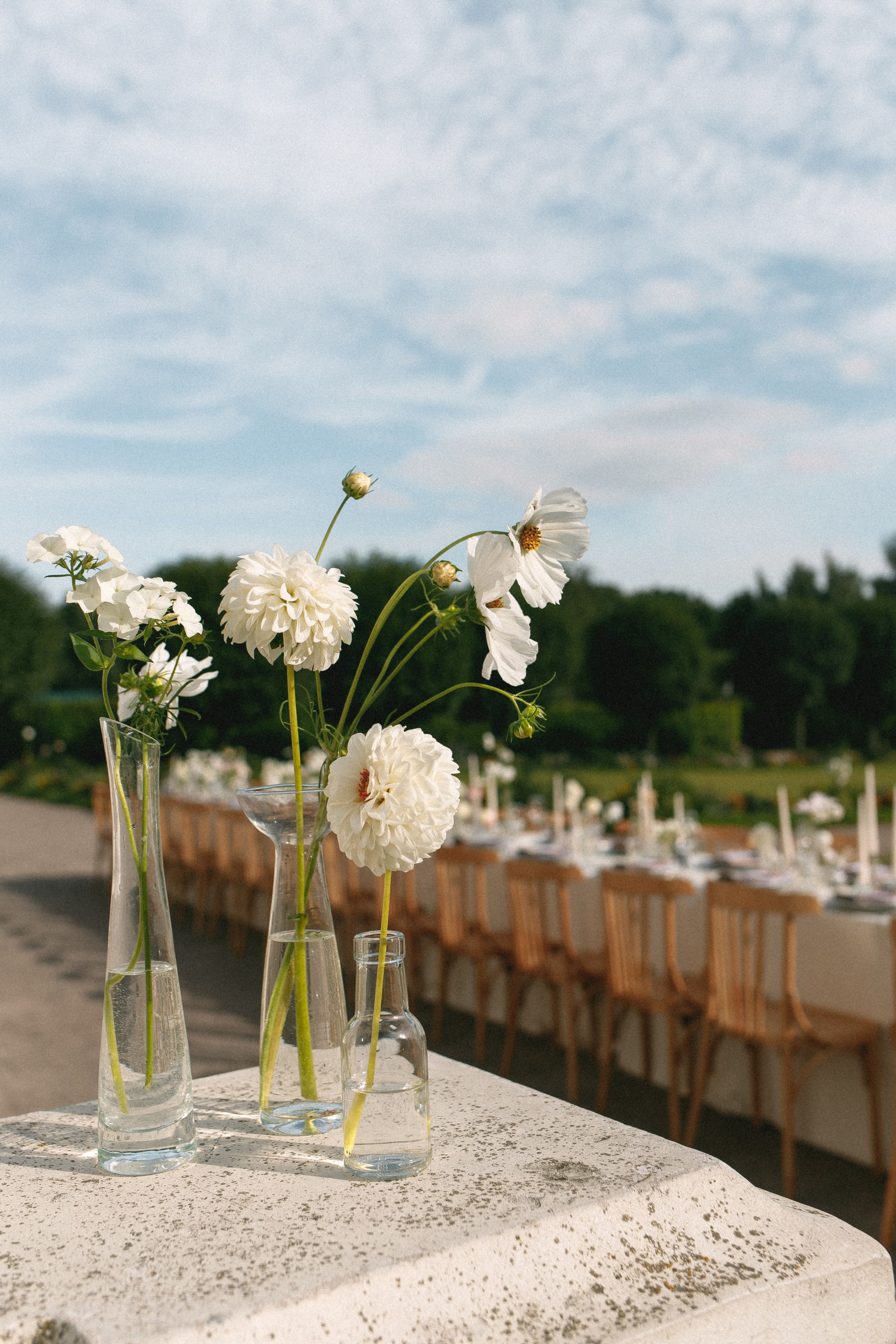Кусково. Фотограф в Москве Виктория Губина