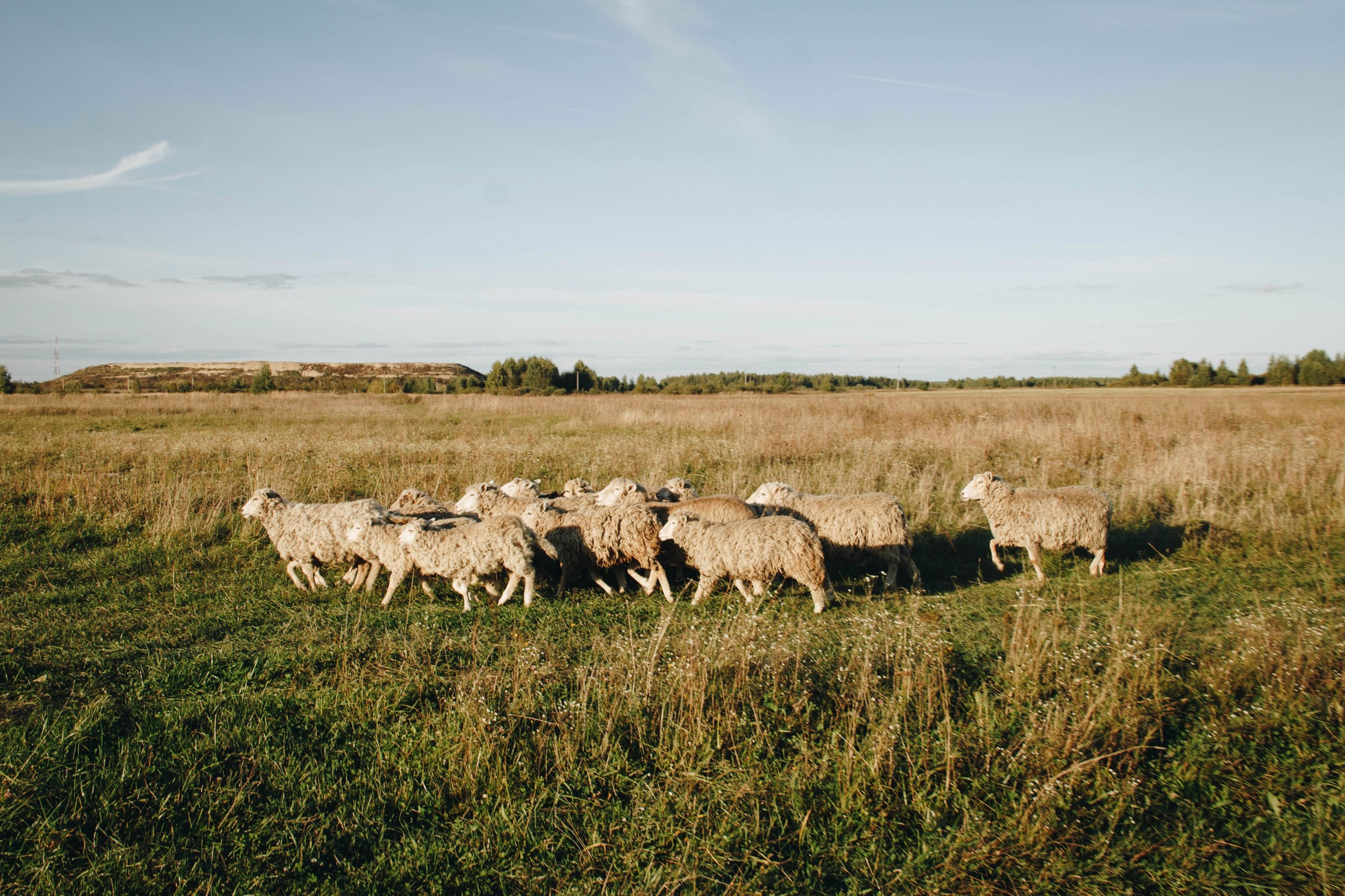 Vyksa. ФОТОГРАФ ANASTASIA KOSHELEVA