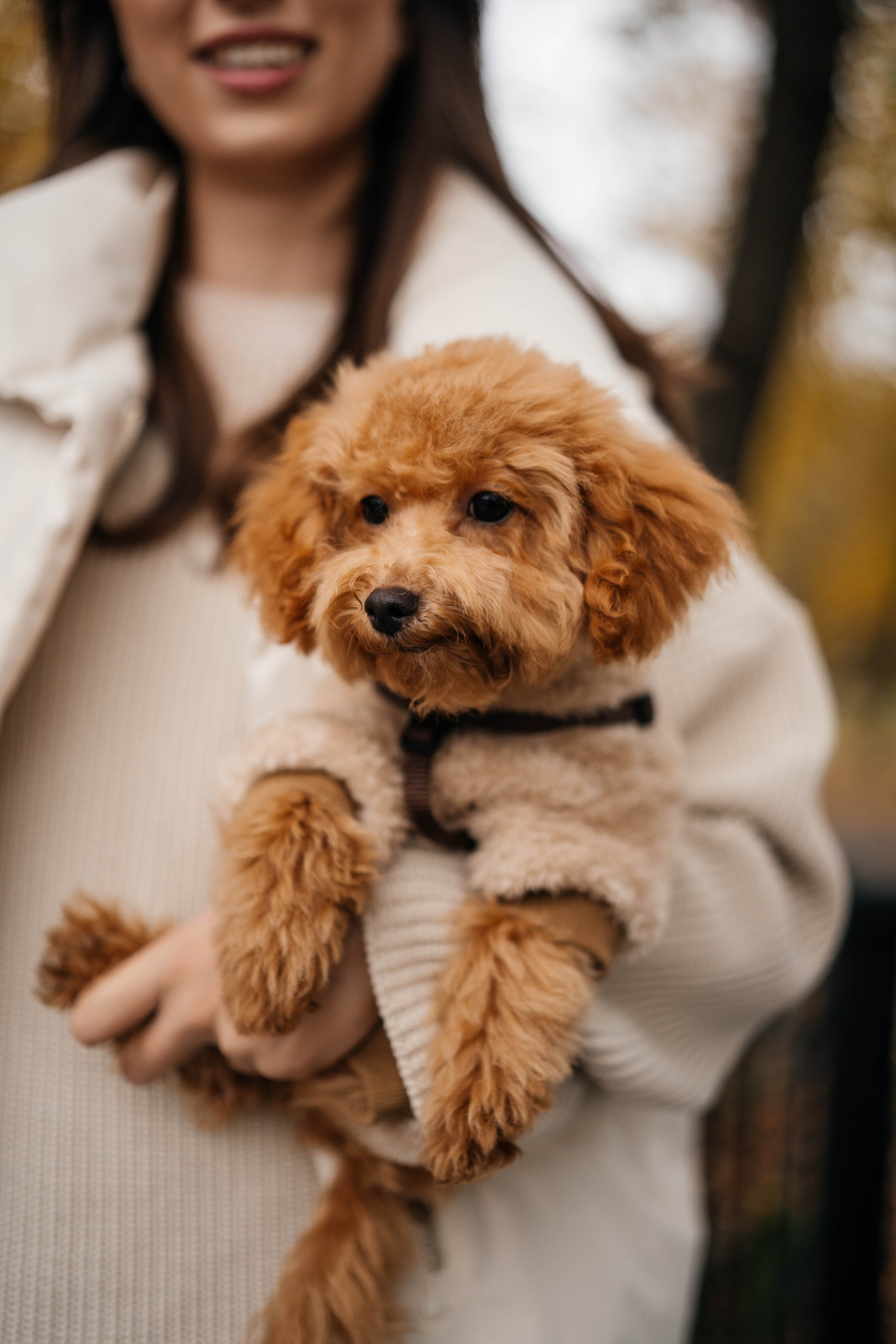 Рада и ее команда). Https://instagram.com/ana.stasia.n