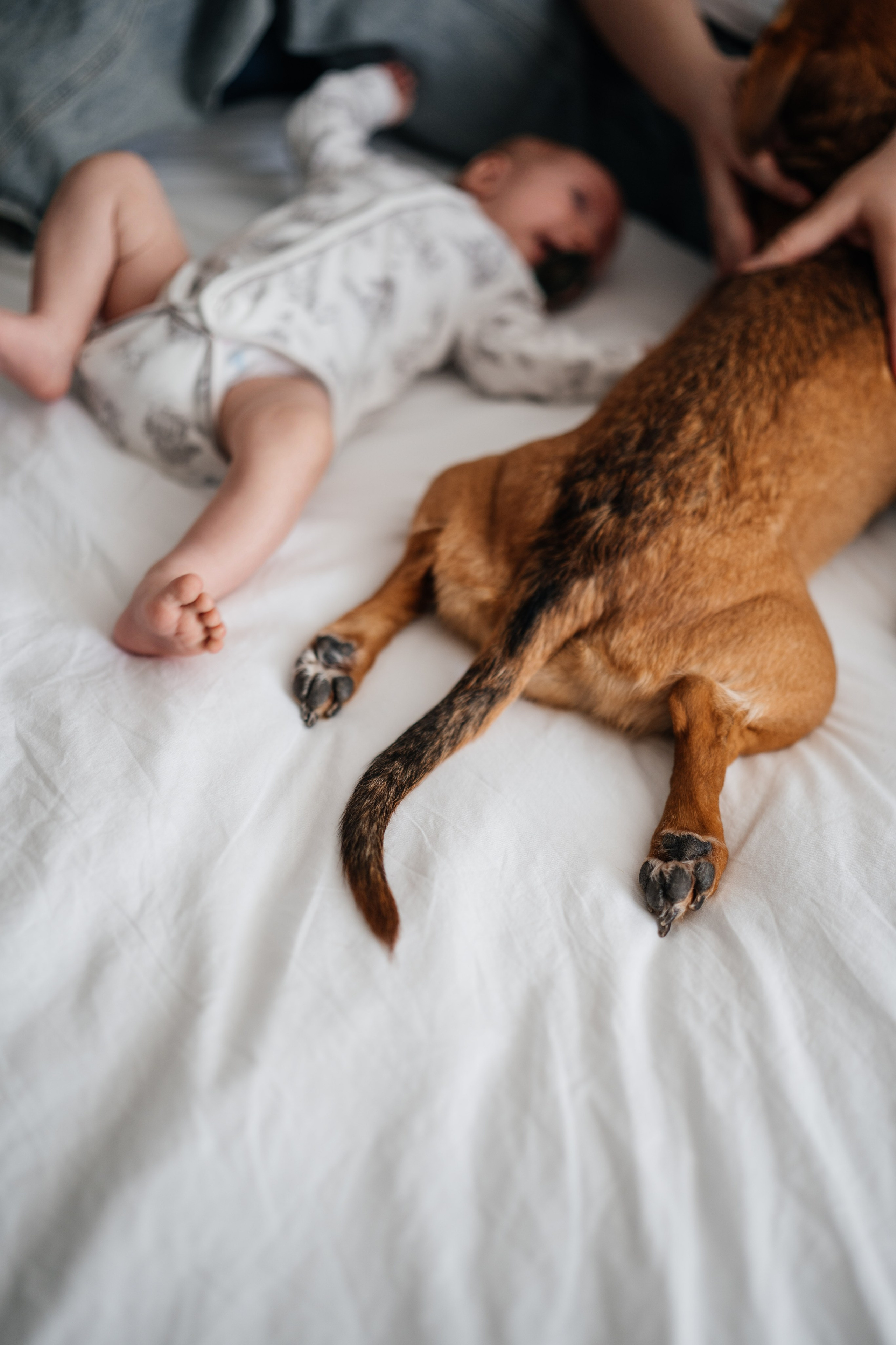 Семейные съемки в студии/дома. Https://instagram.com/ana.stasia.n