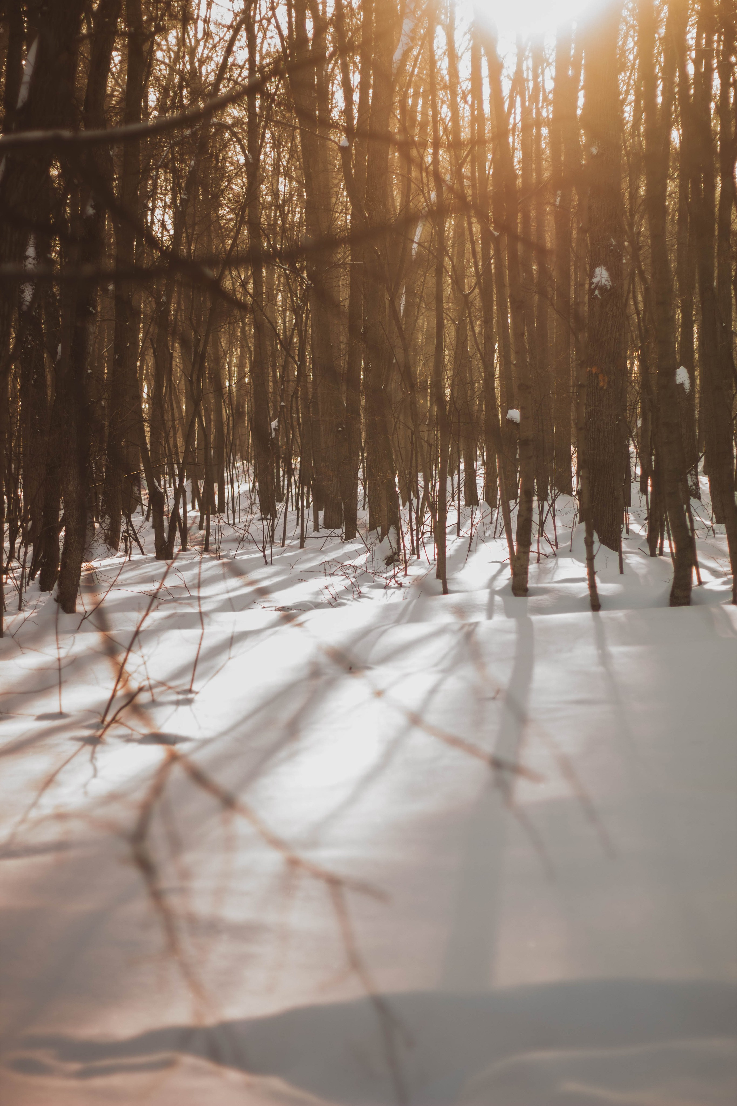 Russian Girl. Фотограф в Уфе Валиева Лилия