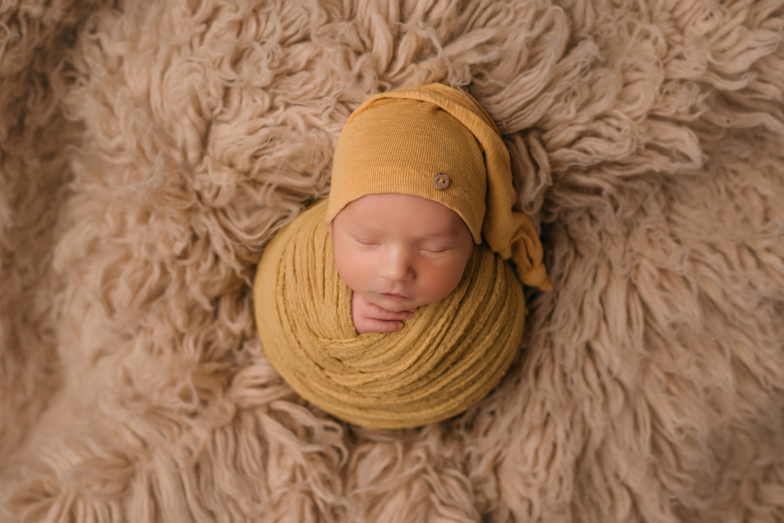 Лев. Фотограф новорожденных Белгород