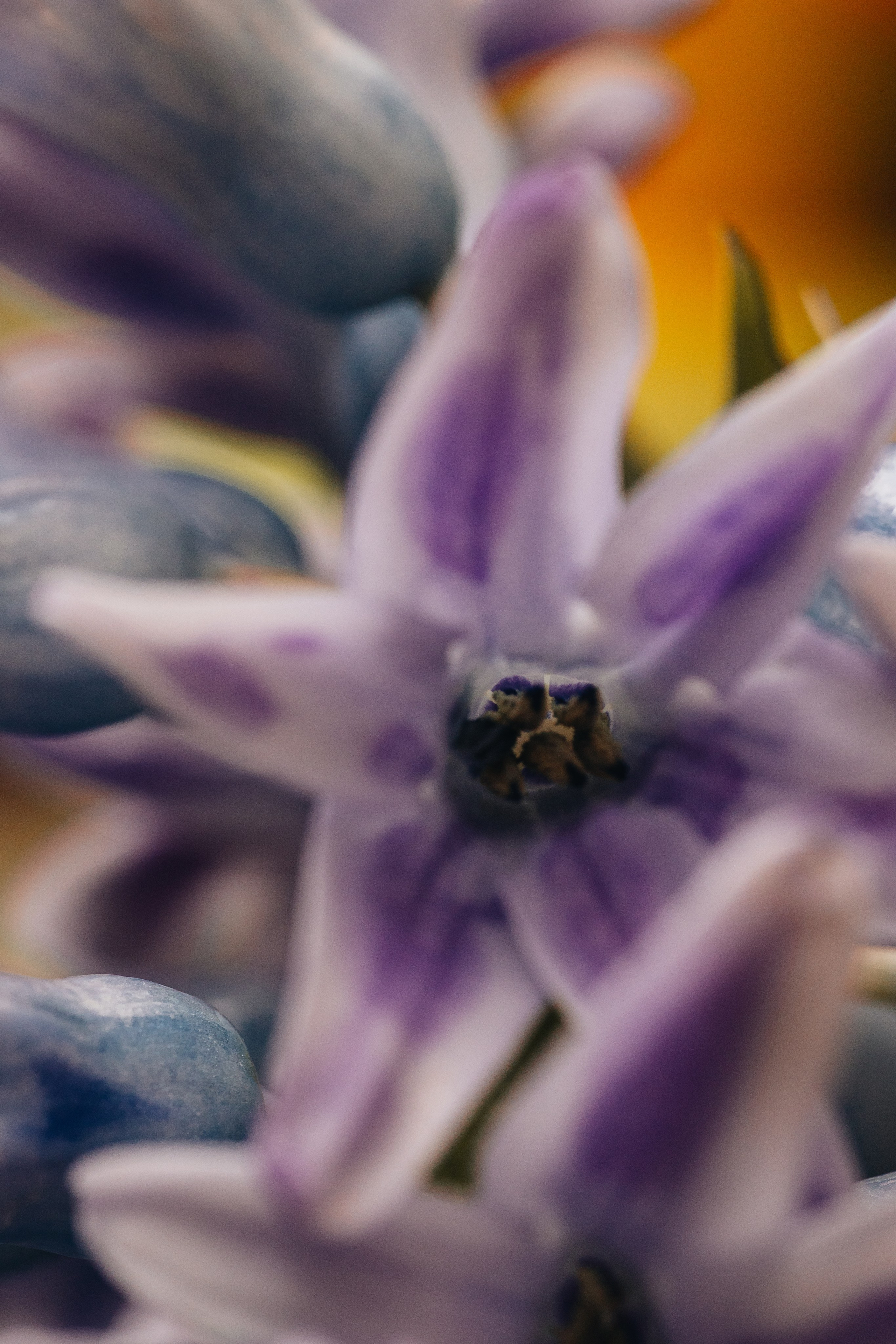 Macro. Фотограф на Юге России