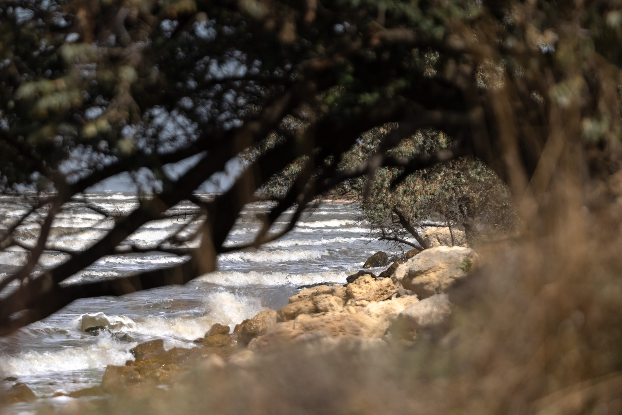 Азовское море. Фотограф Владимир Охрименко
