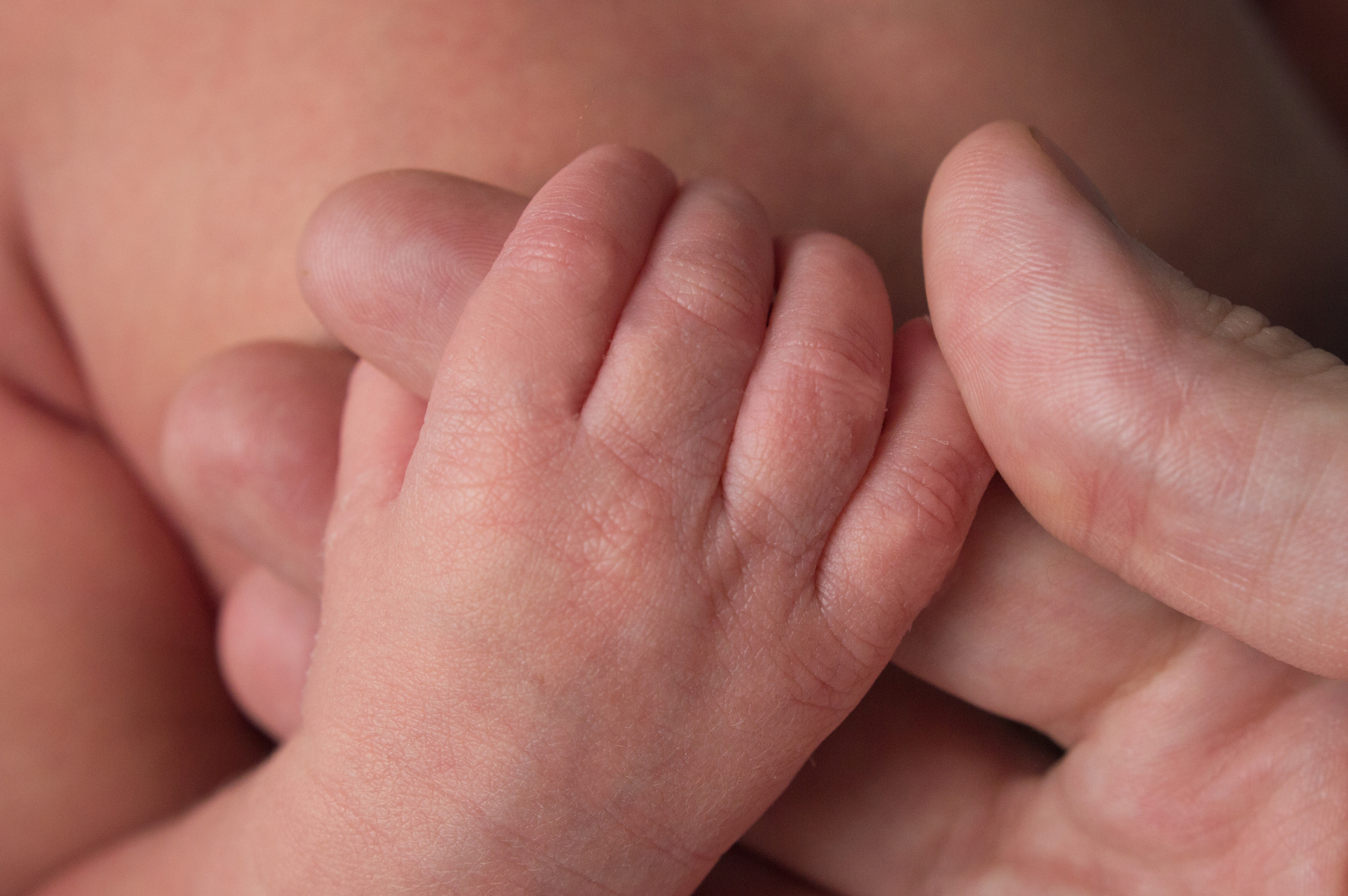 Новорожденные_NEWBORN. Фотограф новорожденных Новокузнецк Анастасия Волгова