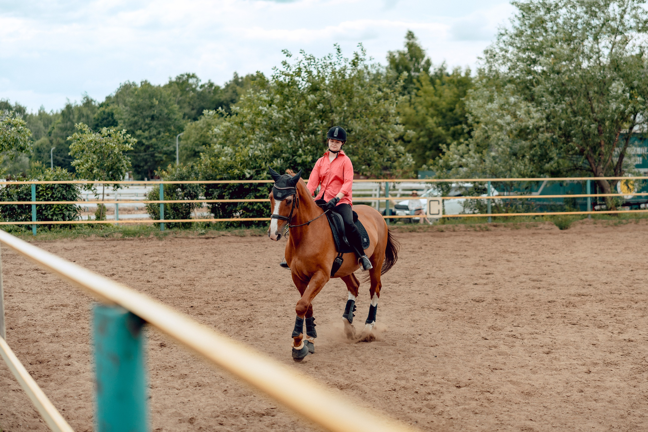 Hourse. Портретный и семейный фотограф в Москве/Видное
