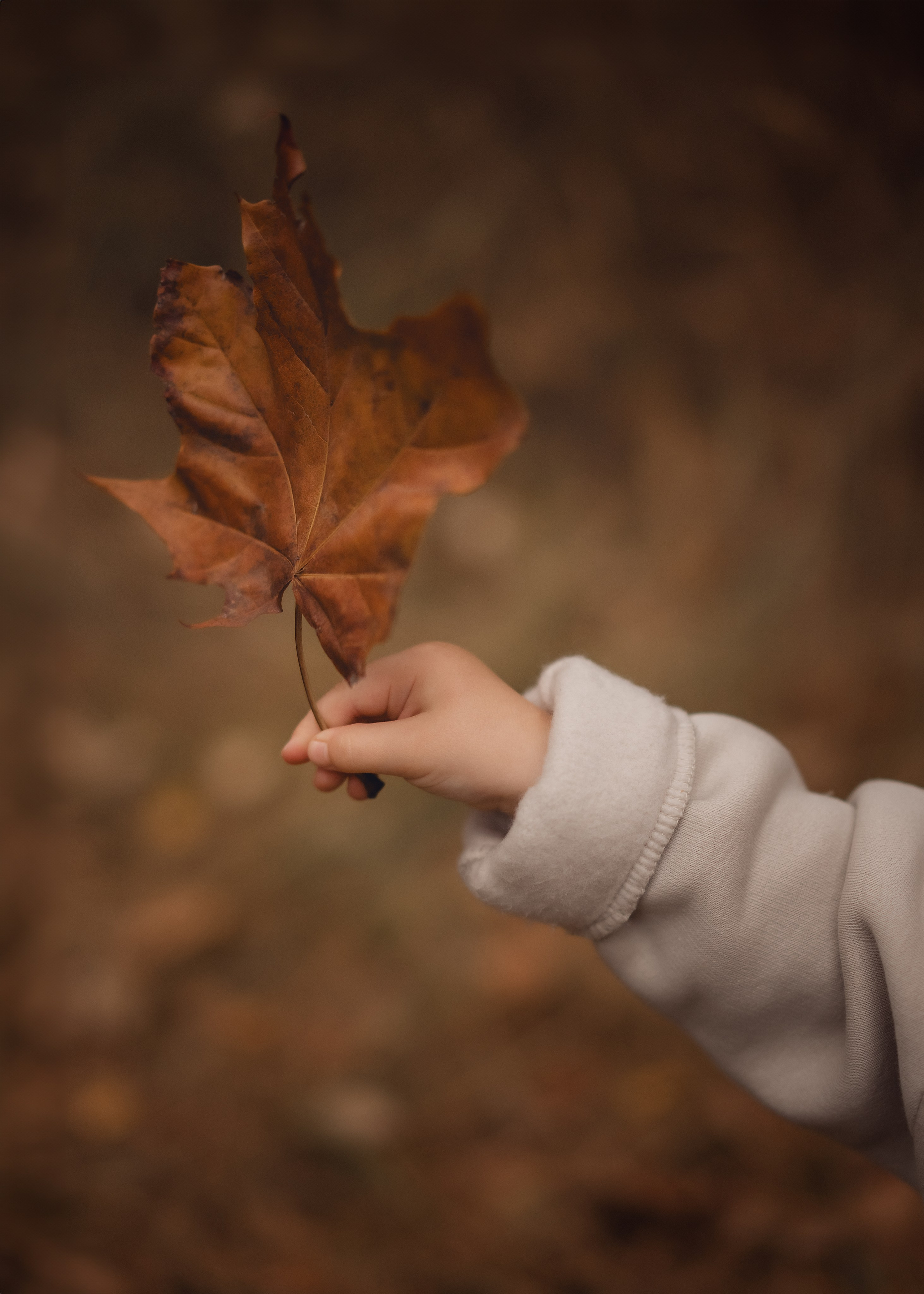 Портфолио. Семейный и детский фотограф в Москве Елизавета Царькова