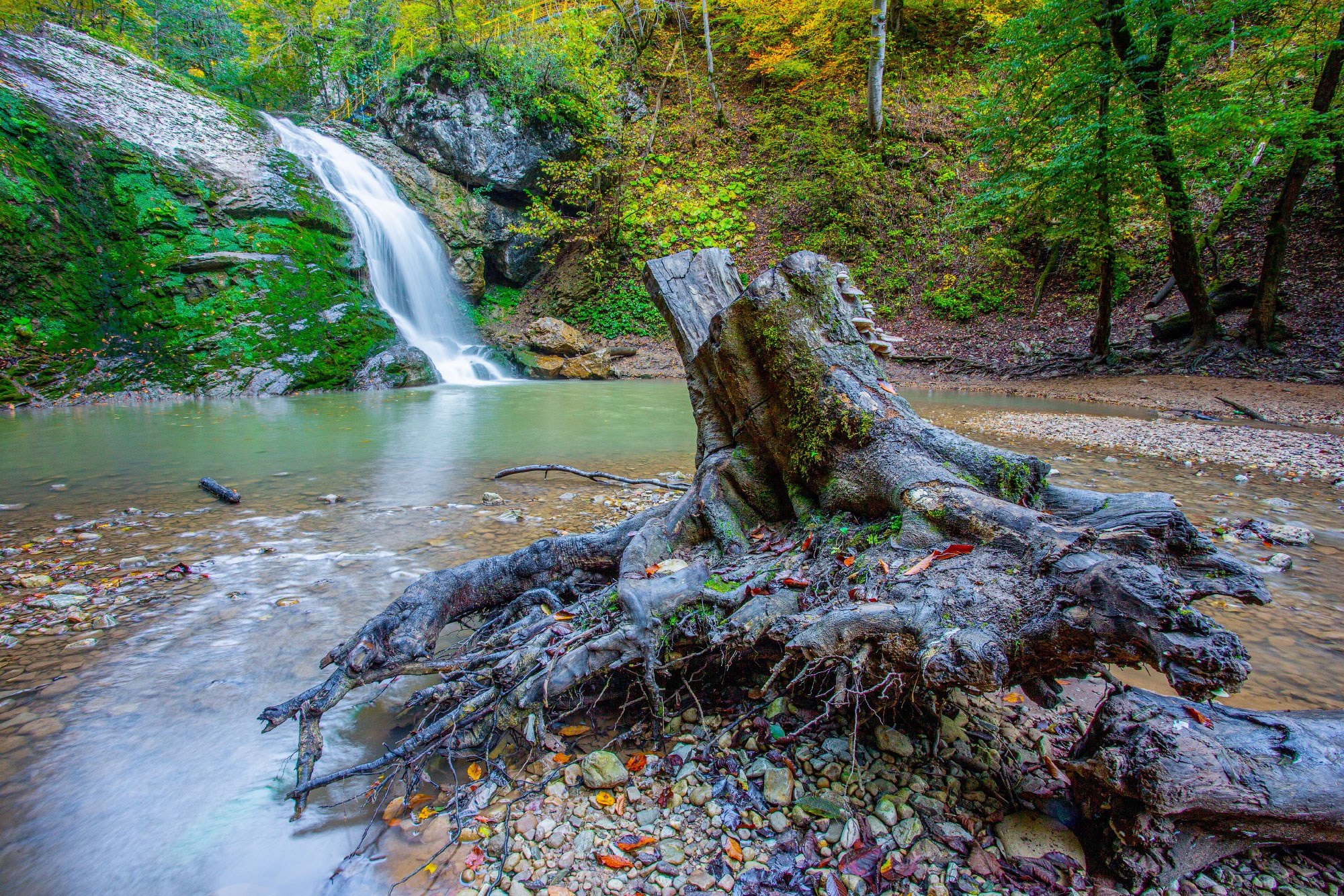 Свадебный фотограф в Геленджике