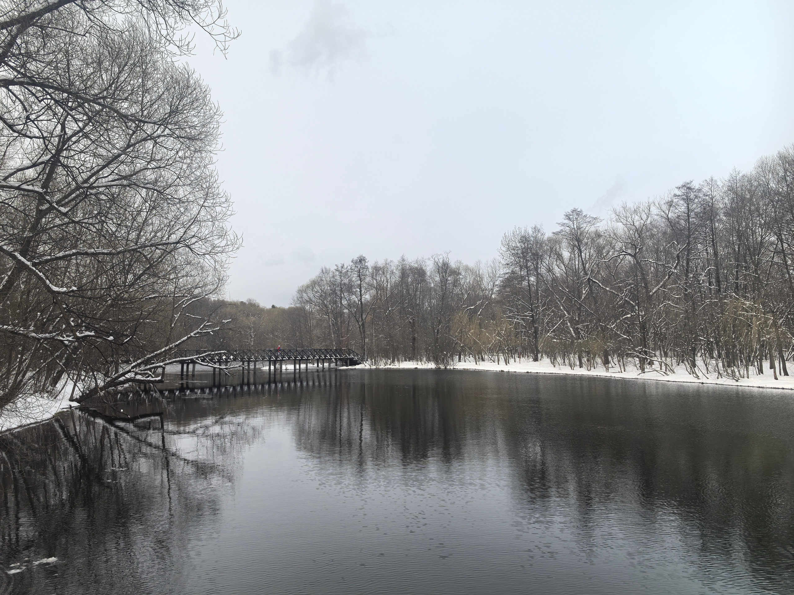 Покровско-Стрешнево. Школьные выпускные альбомы в Москве Марина Николаева