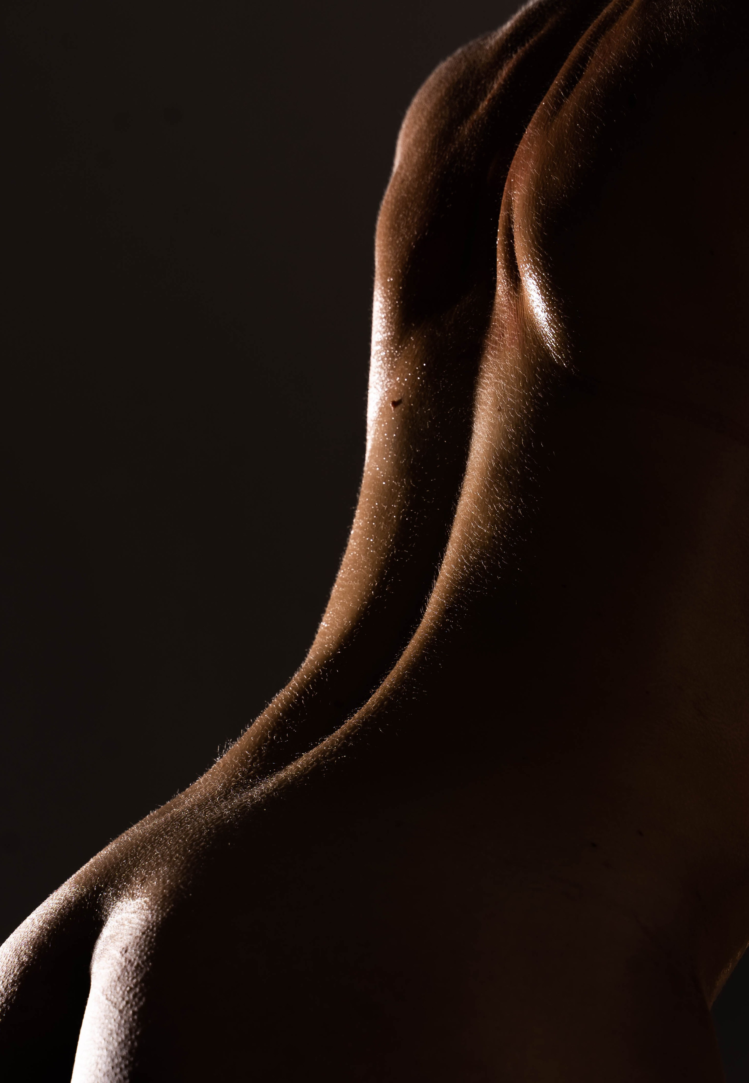 Арт-ню. Арт-ню Н.Новгород/Москва