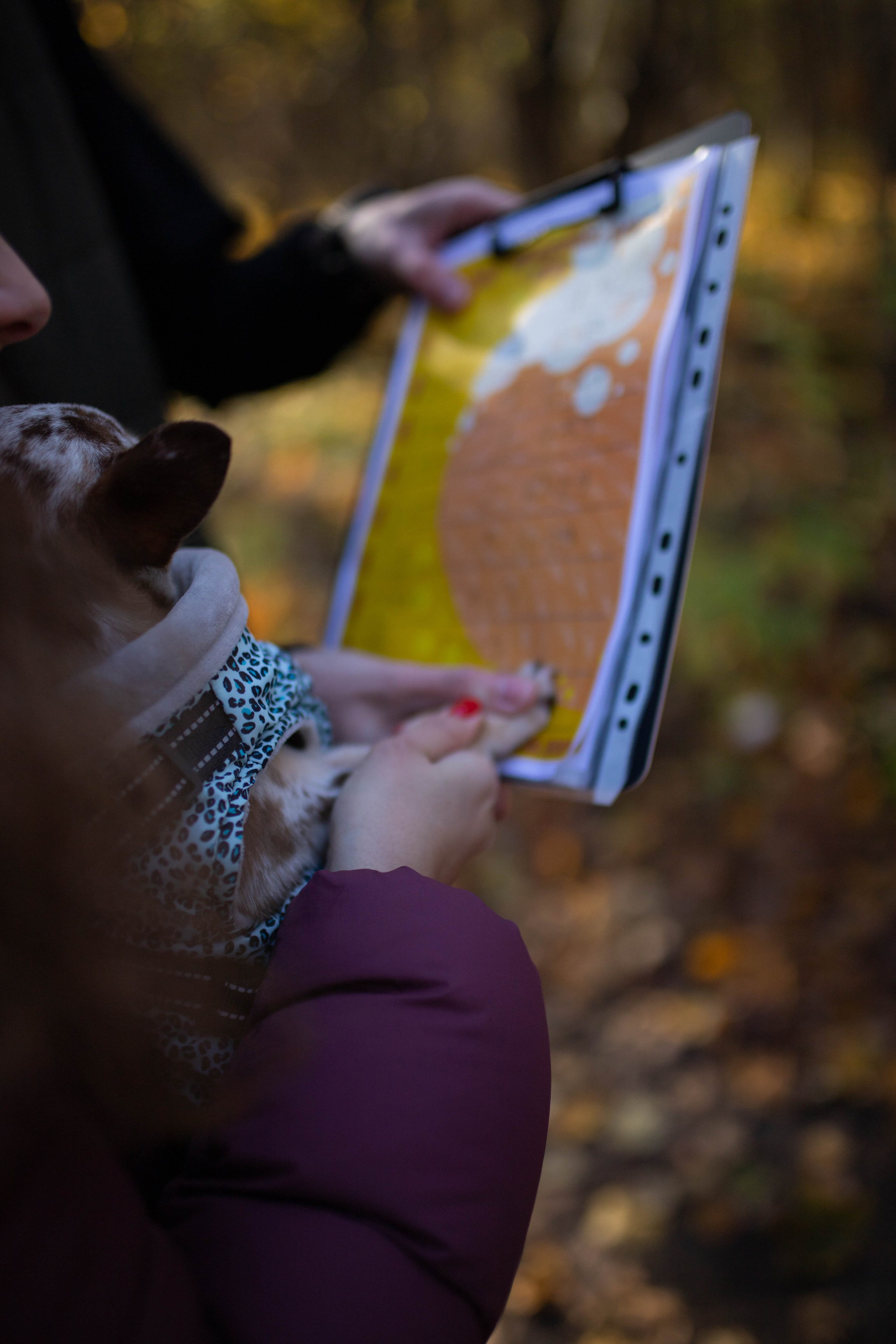 Забег «Пьяный квадрат». Александра Мельниченко/ Бегающий фотограф