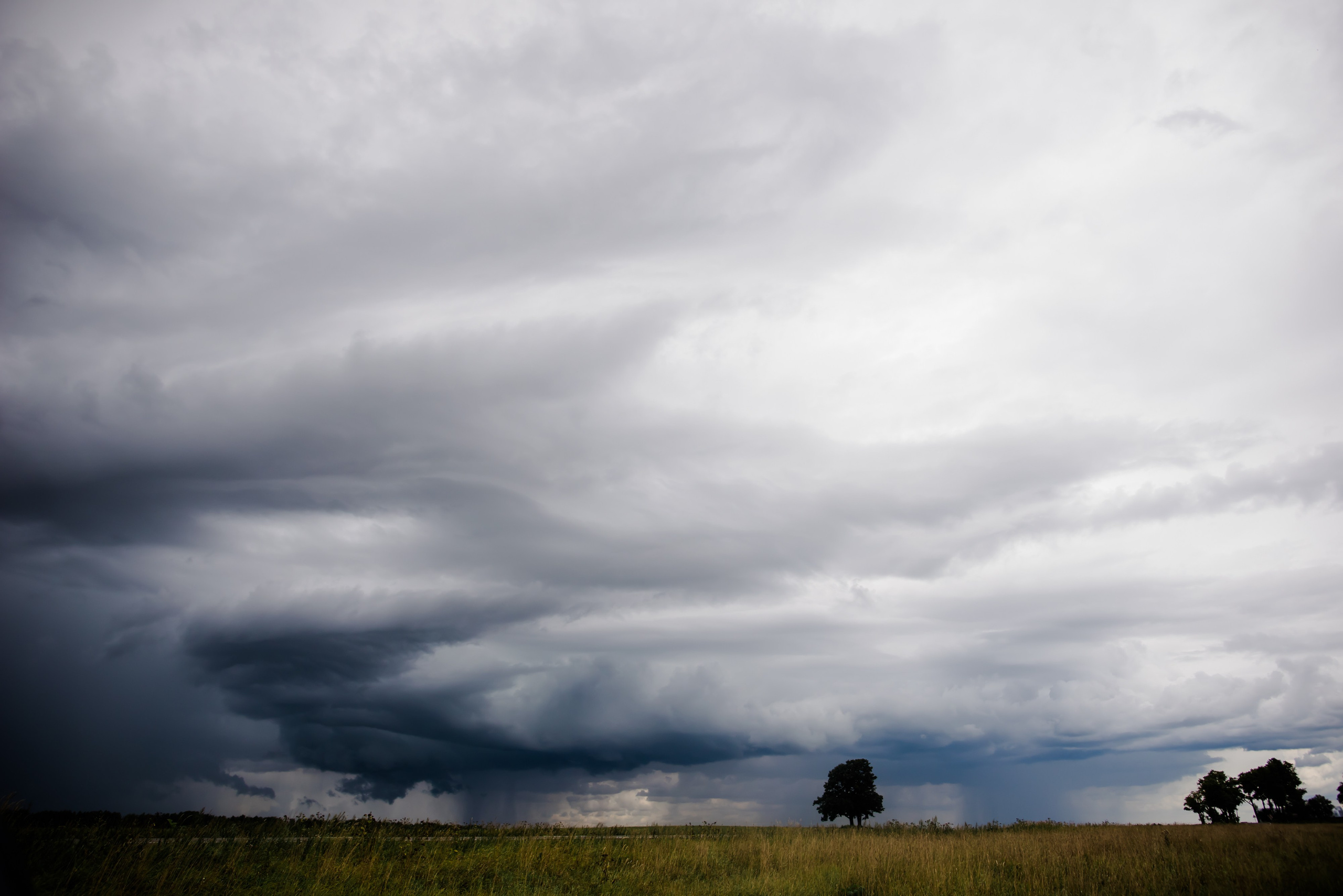 Анна и ее семья, фотосессия в поле. Свадебный и семейный фотограф Евгения Кононова