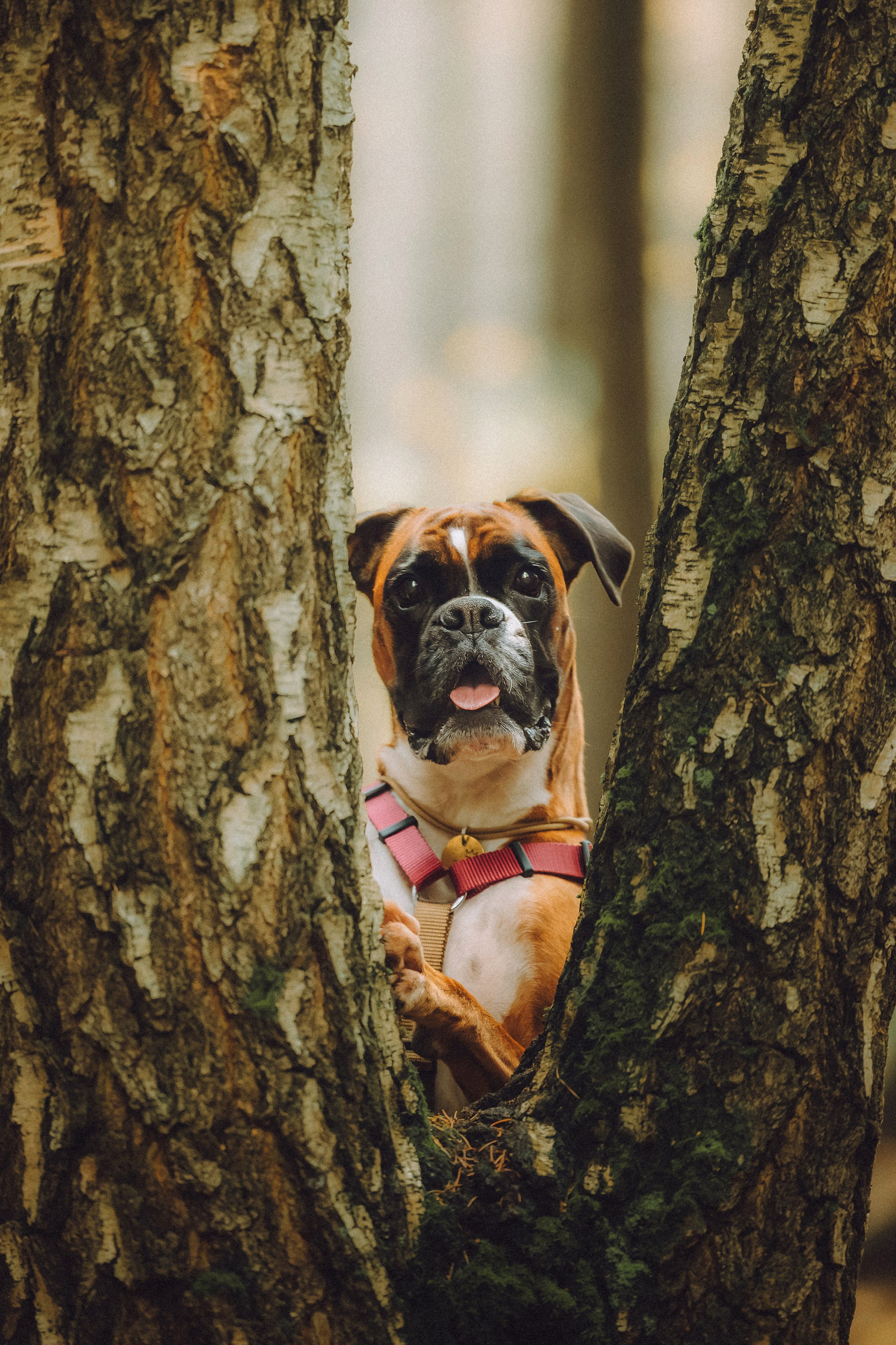 Элли и ее семья