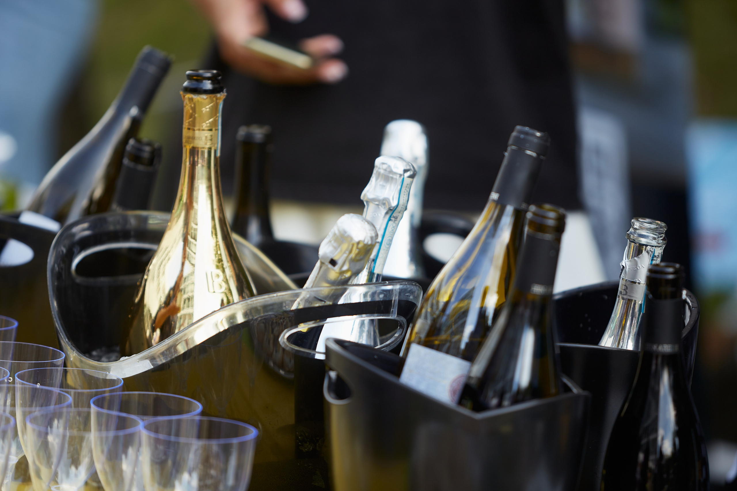 Летняя встреча компании. Свадебный фотограф Москва и Московская область Борисов Сергей