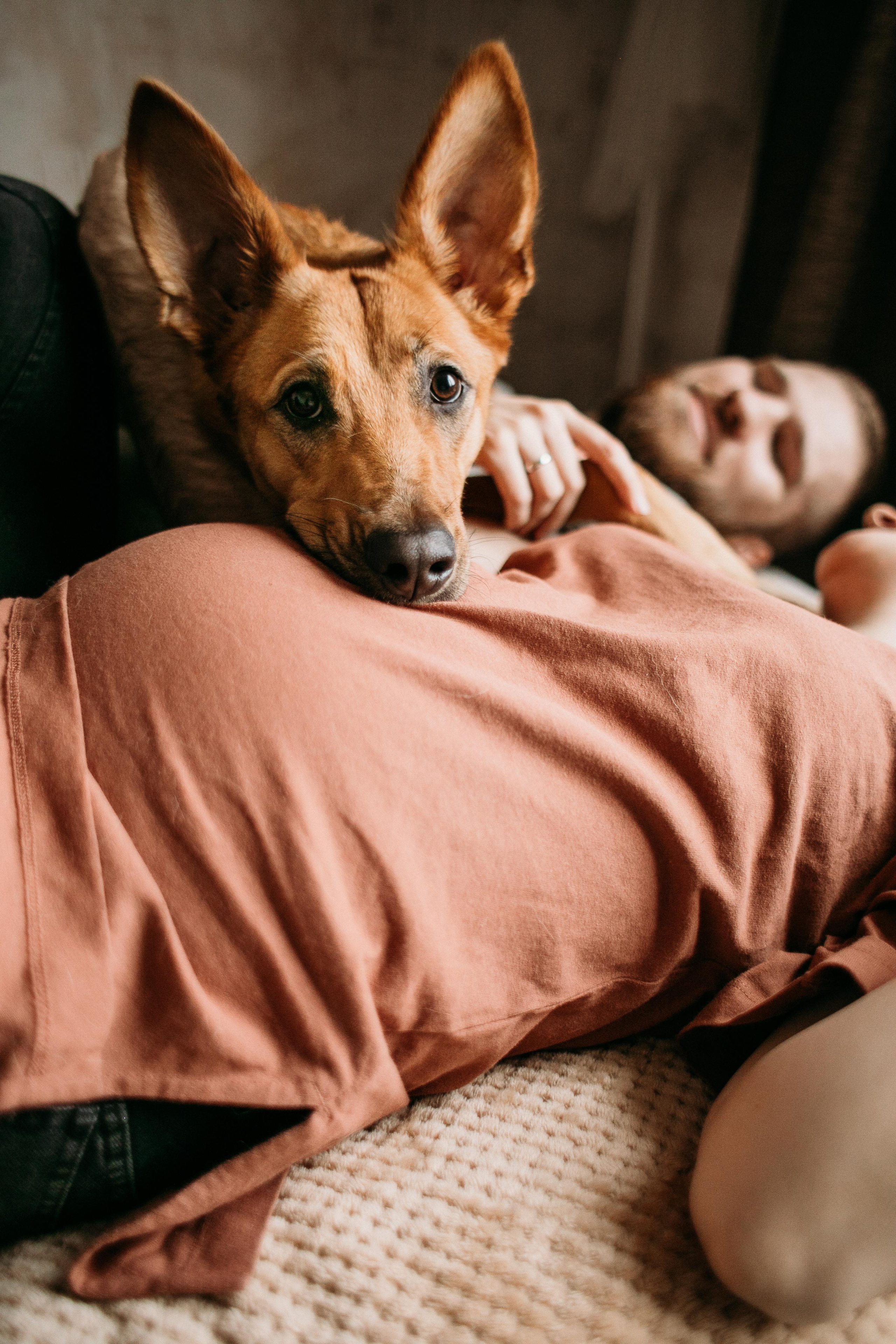 Дома. Свадебный фотограф в Москве Аля Загирова