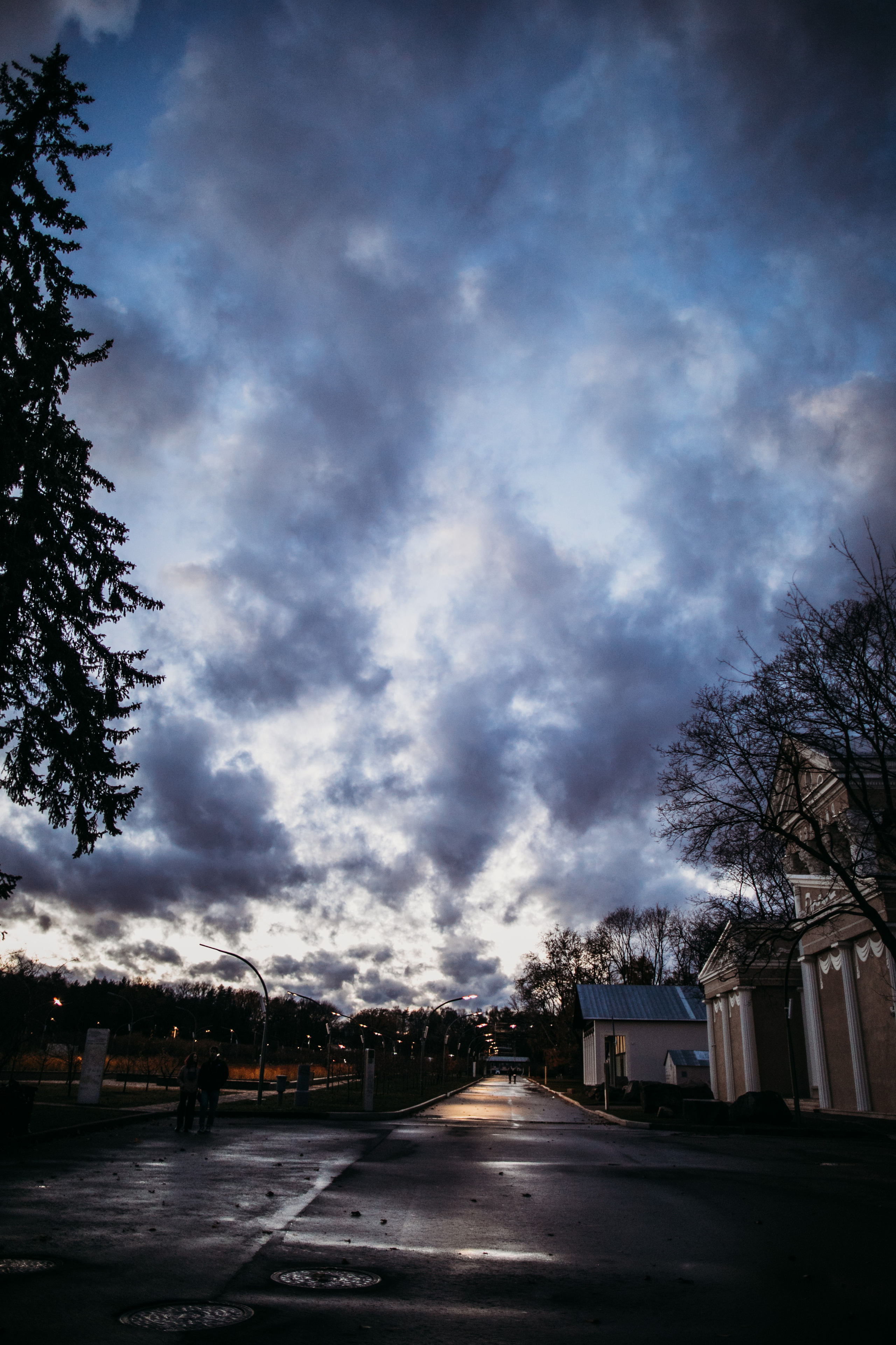 Осенний ботанический. Свадебный фотограф в Москве Аля Загирова
