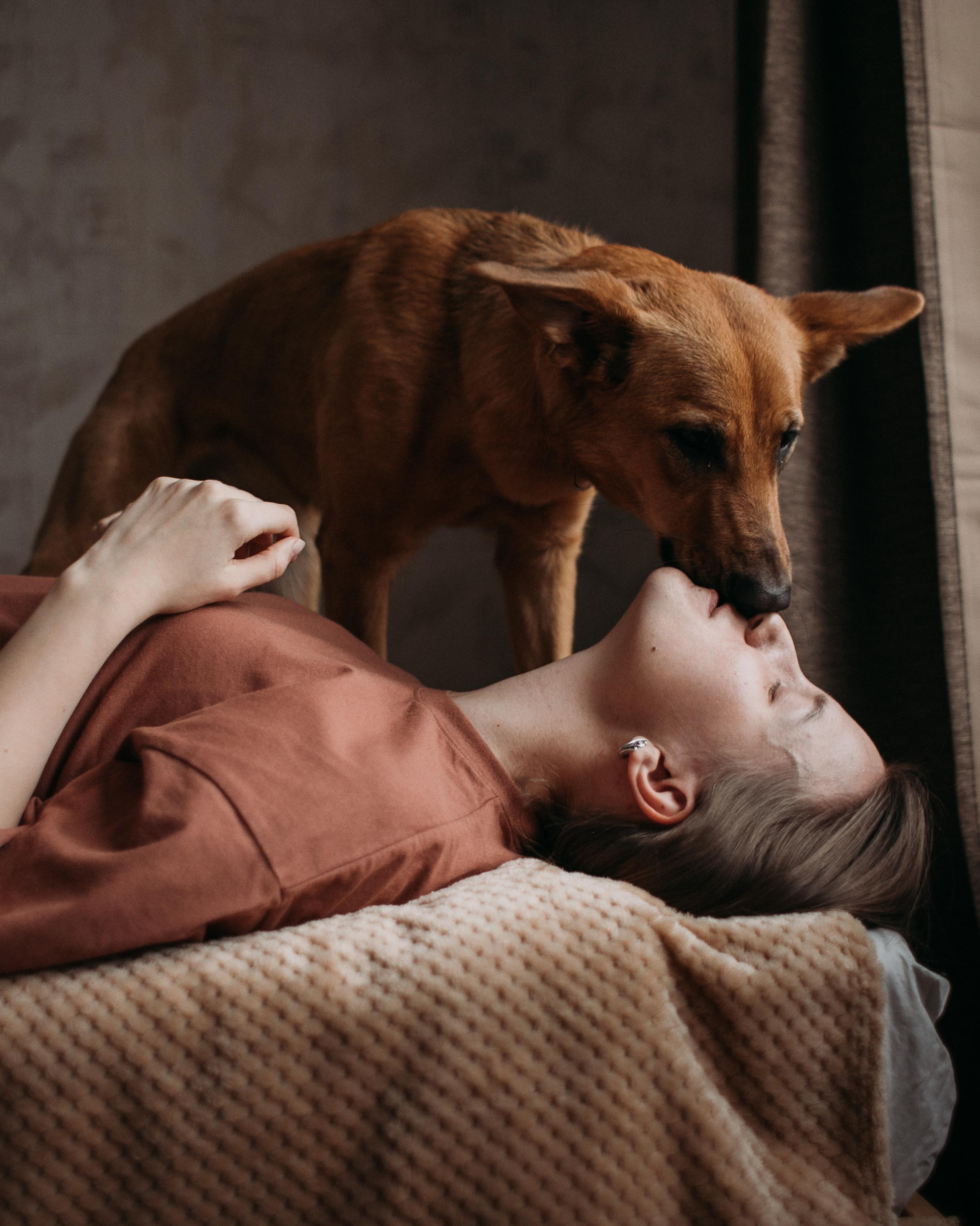 Дома. Свадебный фотограф в Москве Аля Загирова