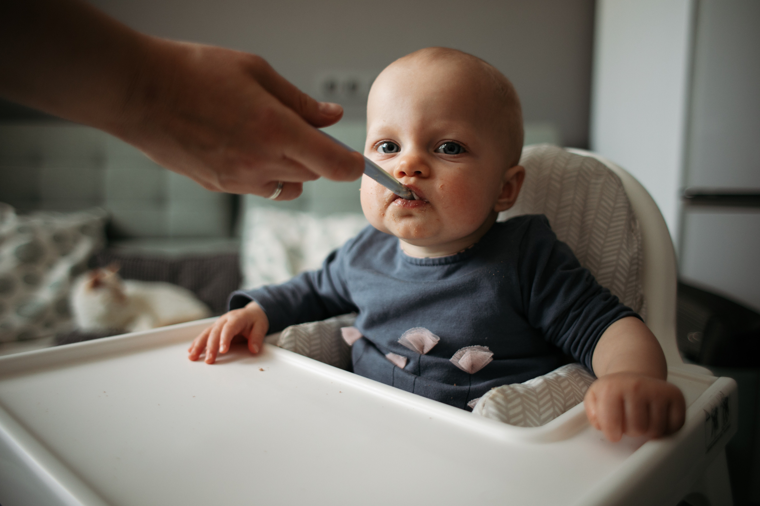 Катя, Тёма, Вова, Сева и Дуся. Свадебный фотограф в Москве Аля Загирова