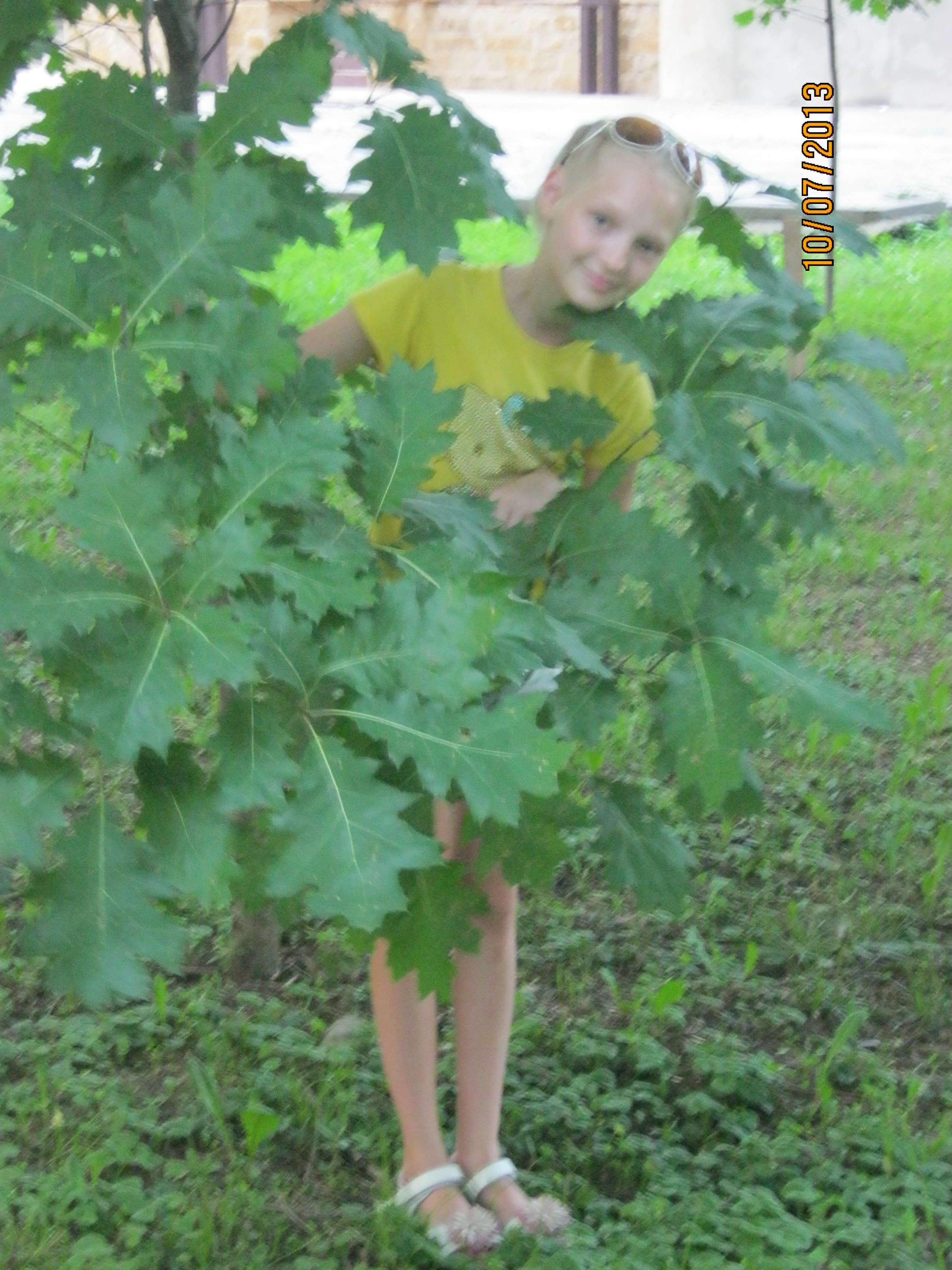 Белореченск с Олей 29.06-22-07.2013. Семейный, Свадебный фотограф СПБ Питер— Романова Екатерина
