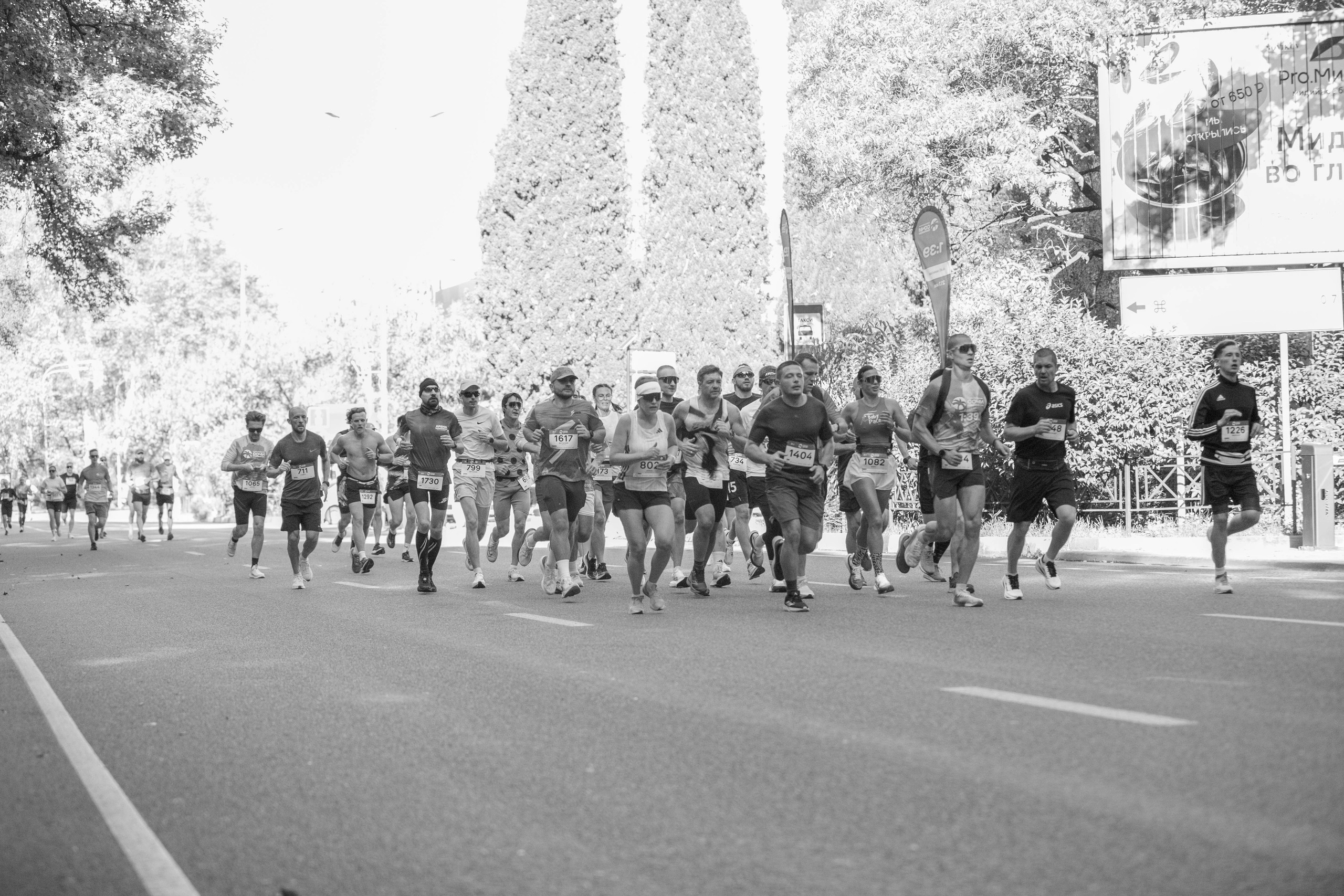 Сочи Марафон по бегу — 2025.11.03. Фотограф из Сочи Регина Труфанова