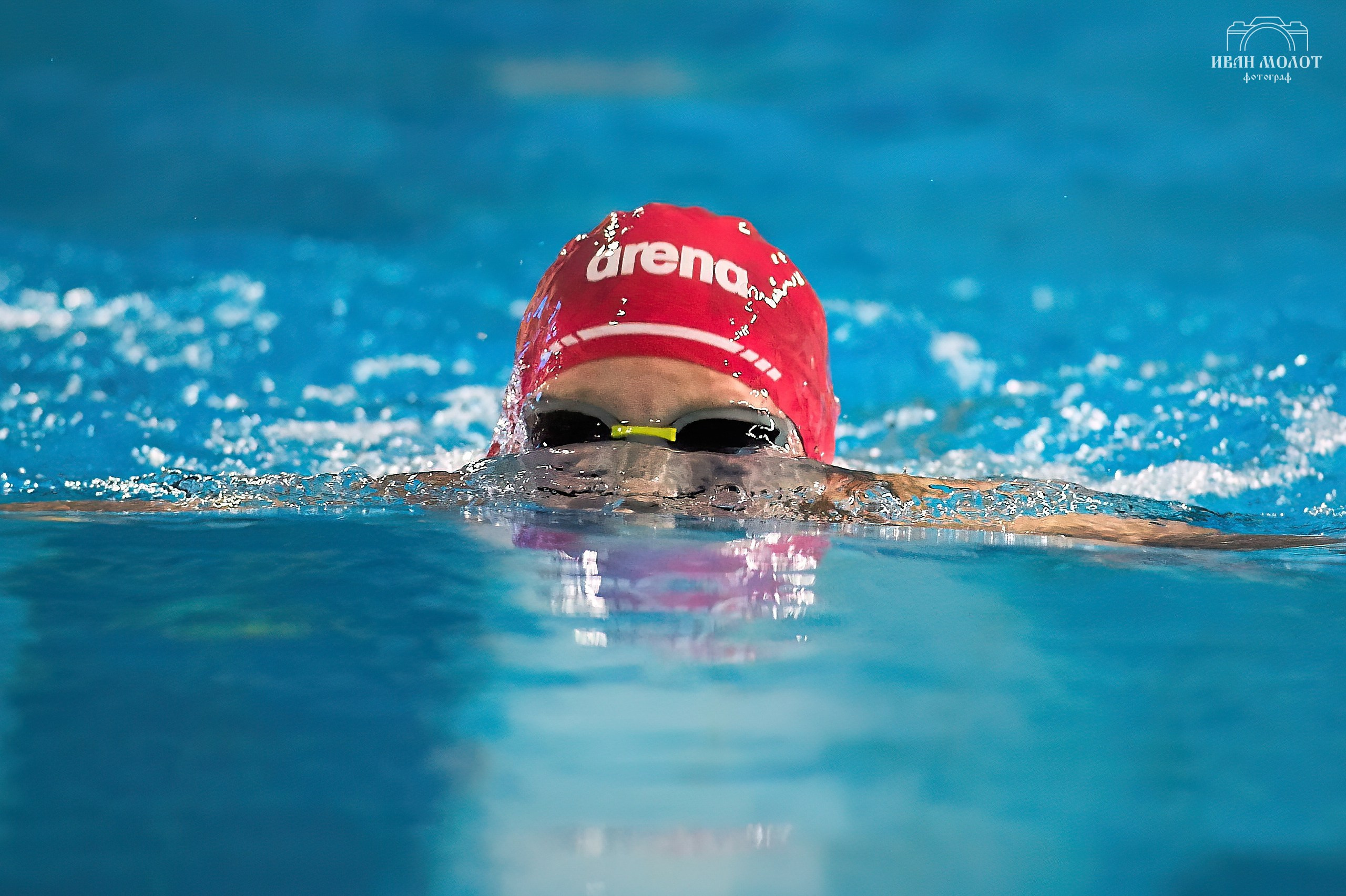 Плавание. Спортивный фотограф Иван Молот (Киров)