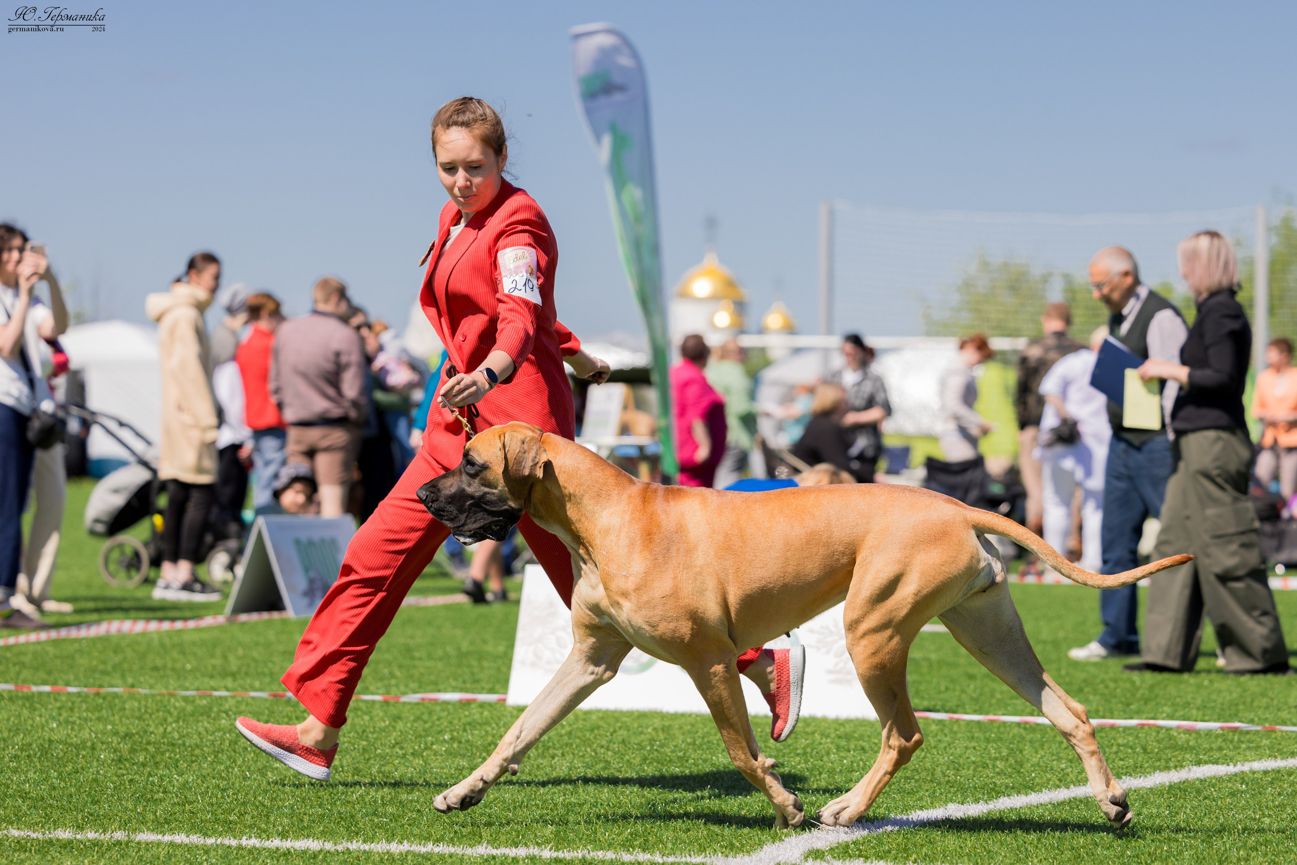 Суздаль 18-19.05.2024. Фотограф-анималист Юлия Германика