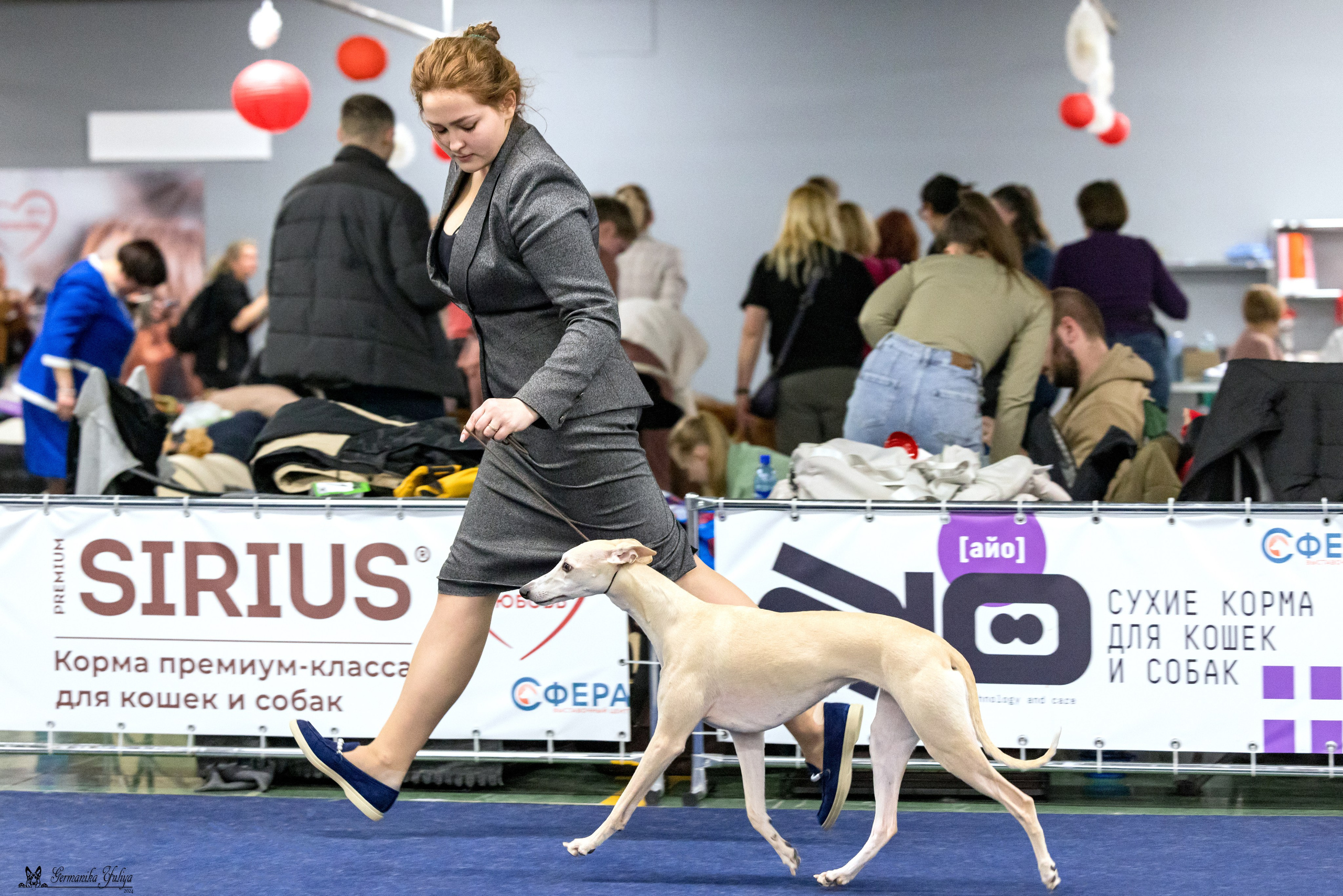 Сфера 28.01. и 4.02.2024. Фотограф-анималист Юлия Германика