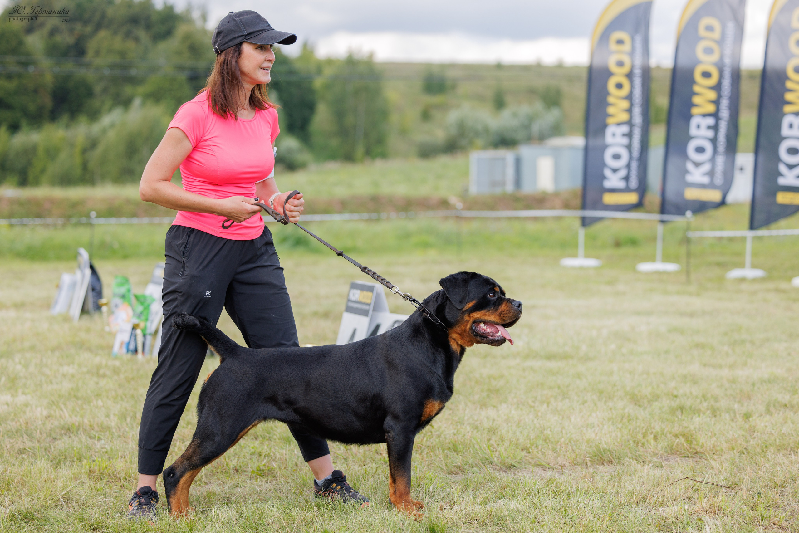 Рязань 2хмоно ротвейлеры 16-17.08.2025. Фотограф-анималист Юлия Германика